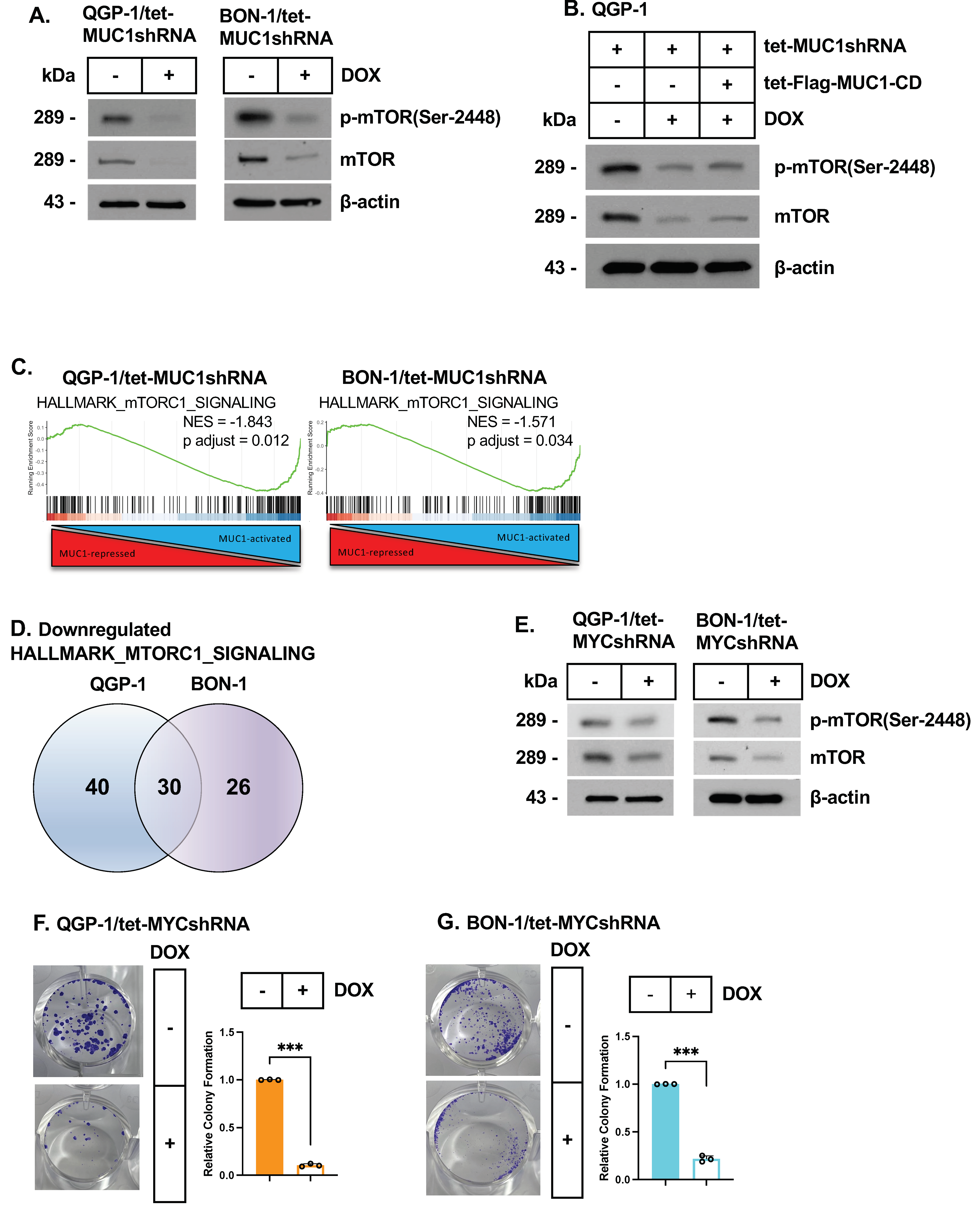 Biomedicines 12 01509 g004