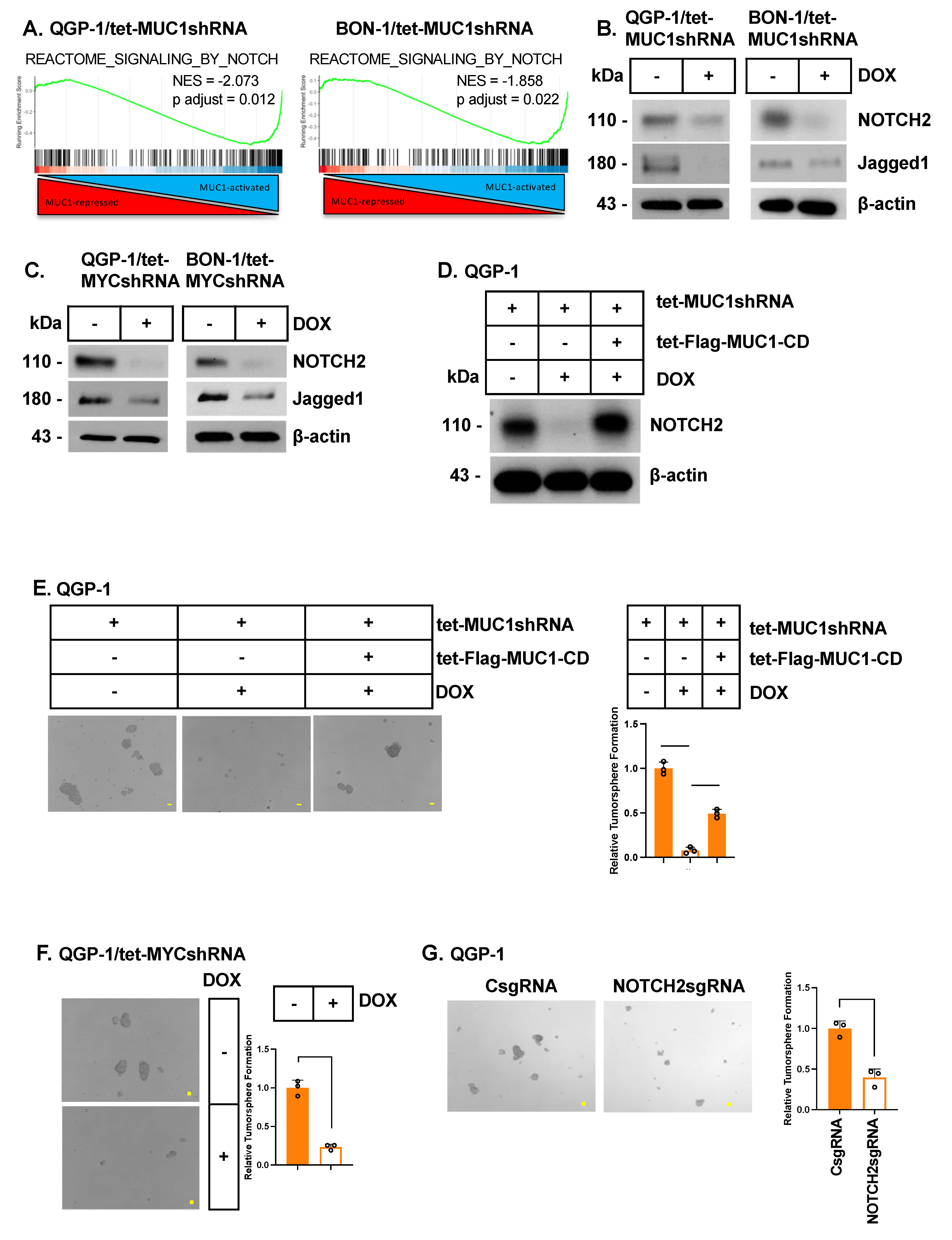 Biomedicines 12 01509 g005