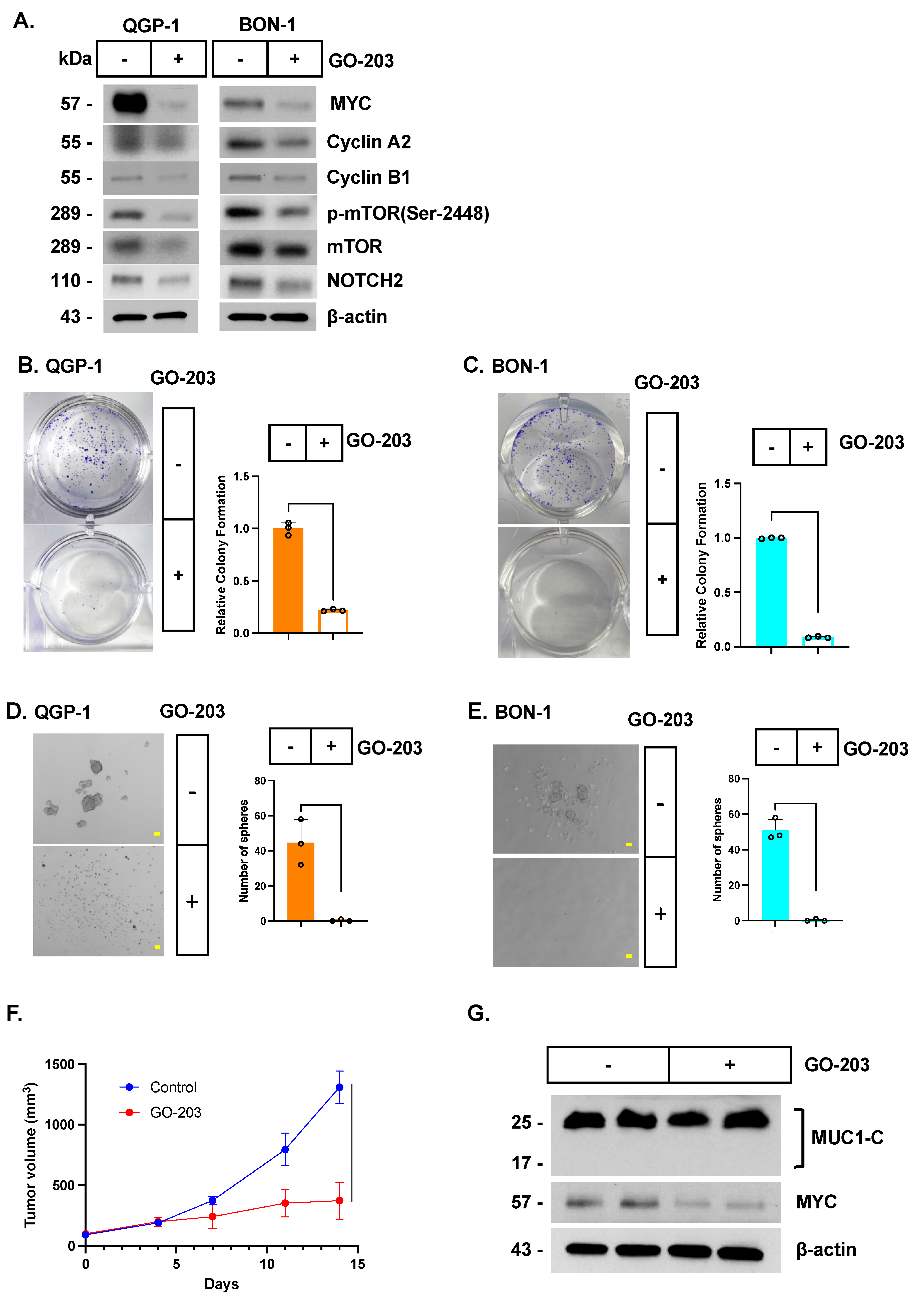 Biomedicines 12 01509 g006