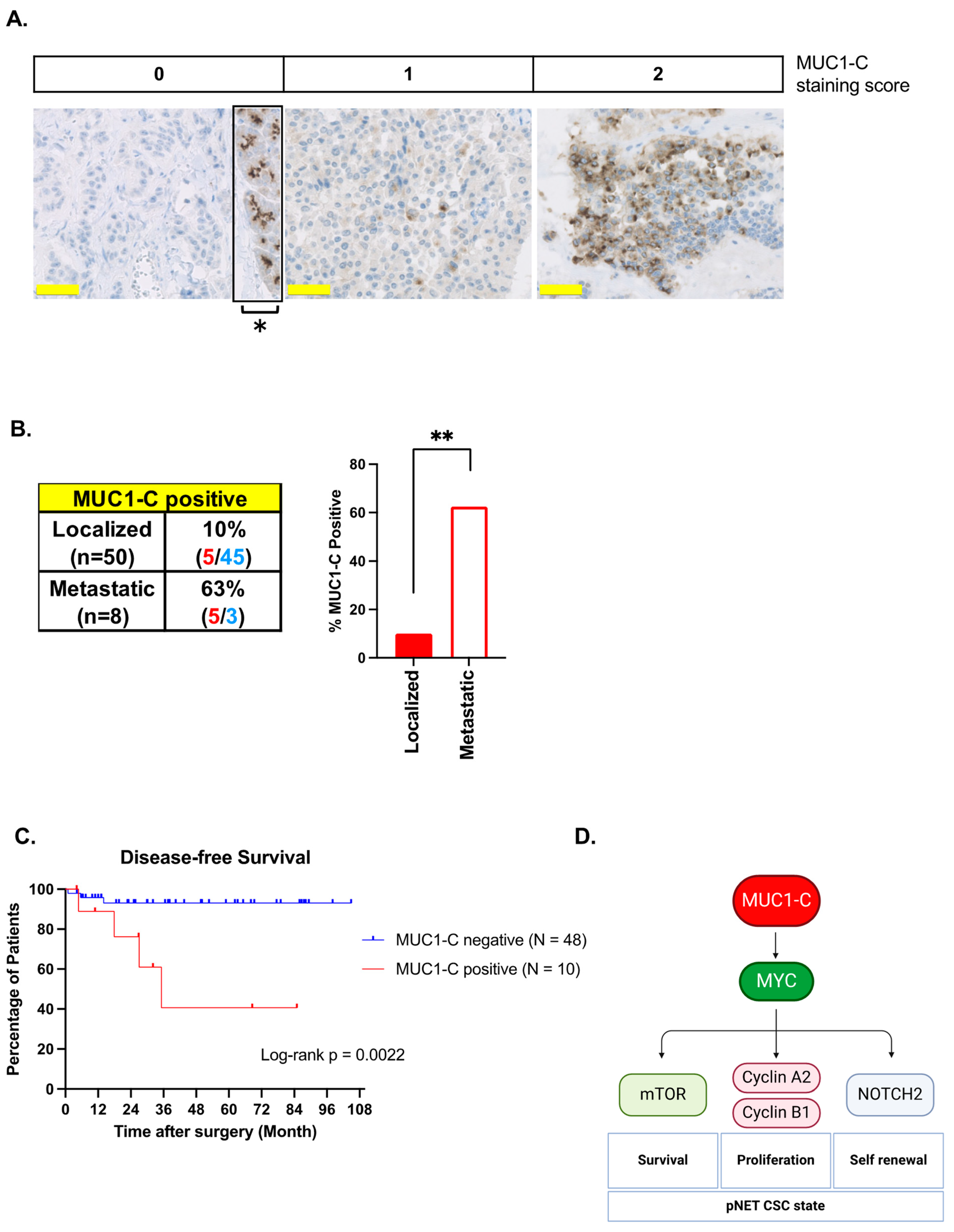 Biomedicines 12 01509 g007