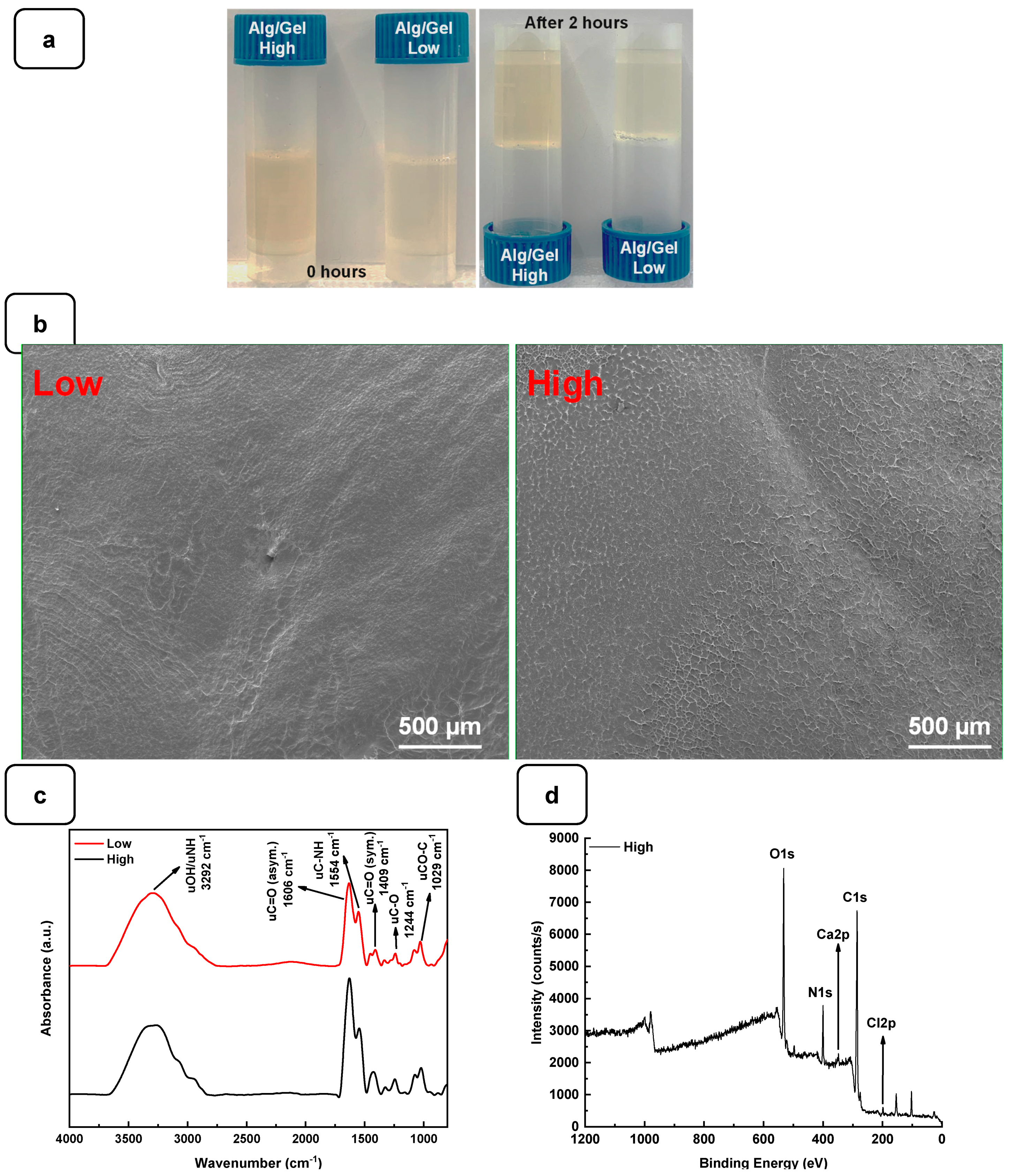 Biomedicines 12 01510 g002