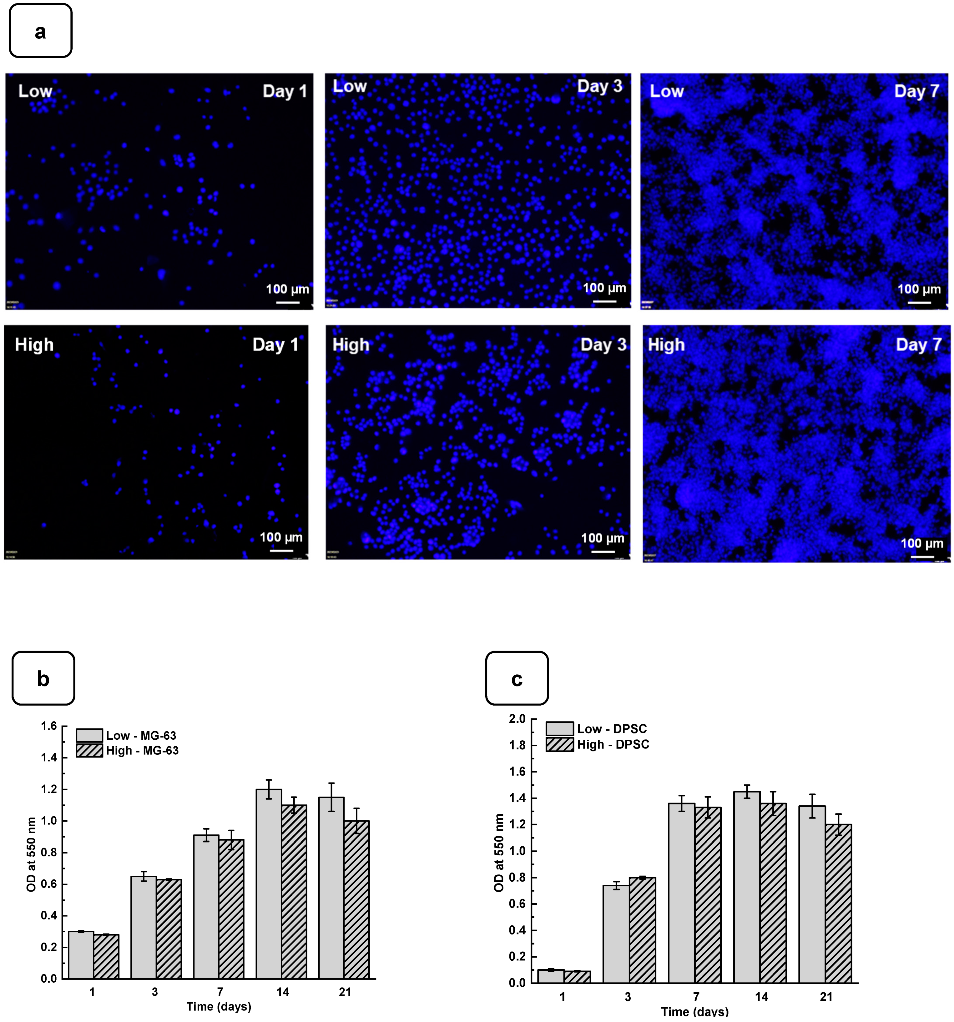 Biomedicines 12 01510 g004a