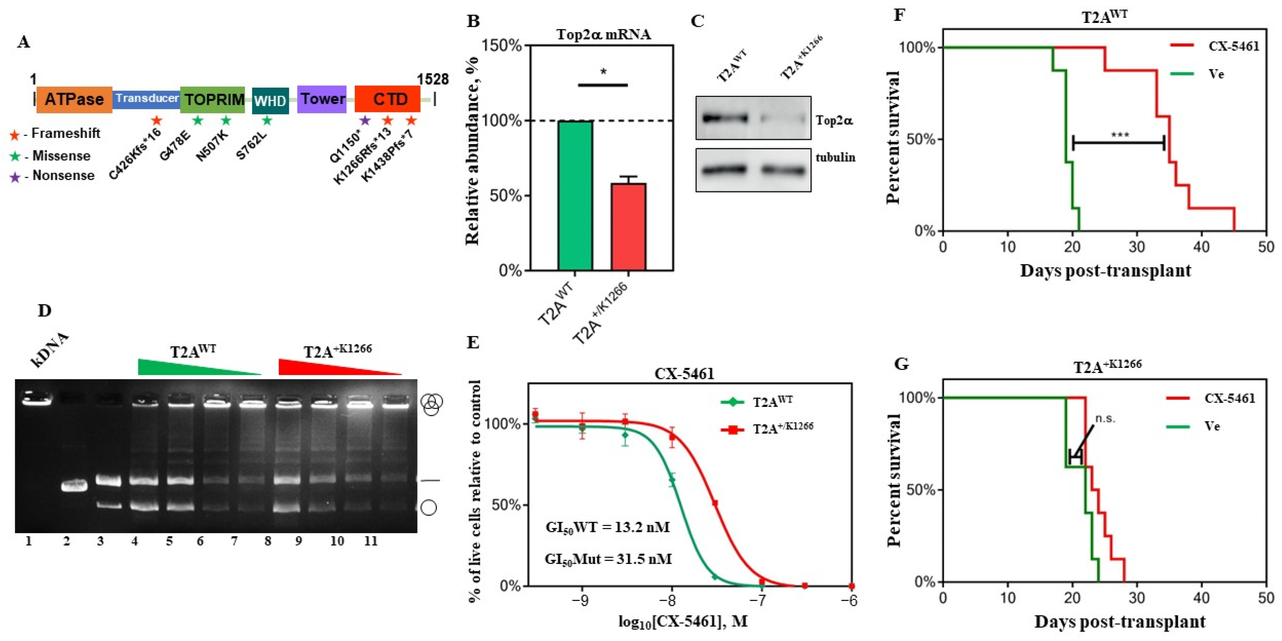 Biomedicines 12 01514 g001