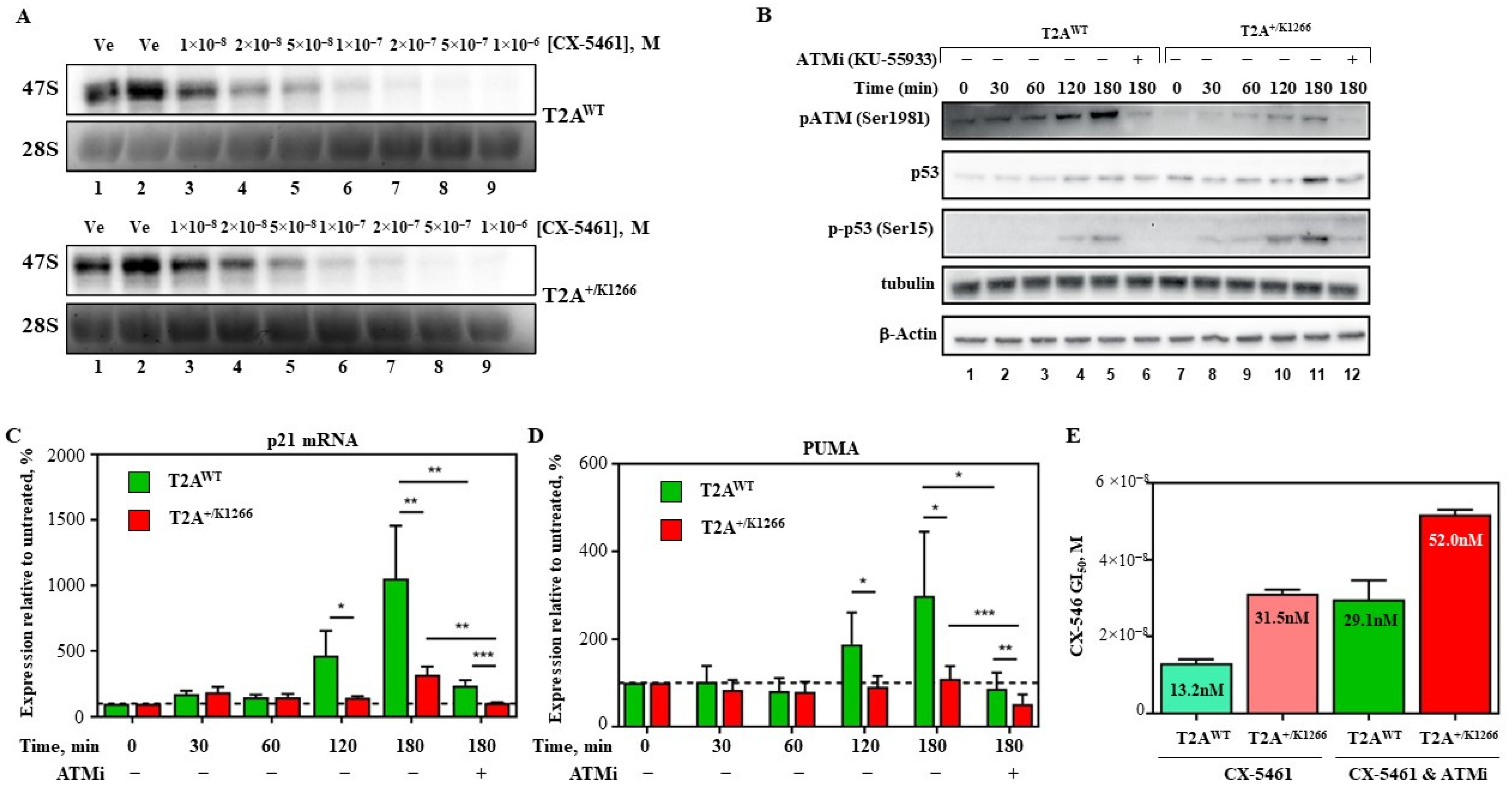 Biomedicines 12 01514 g002