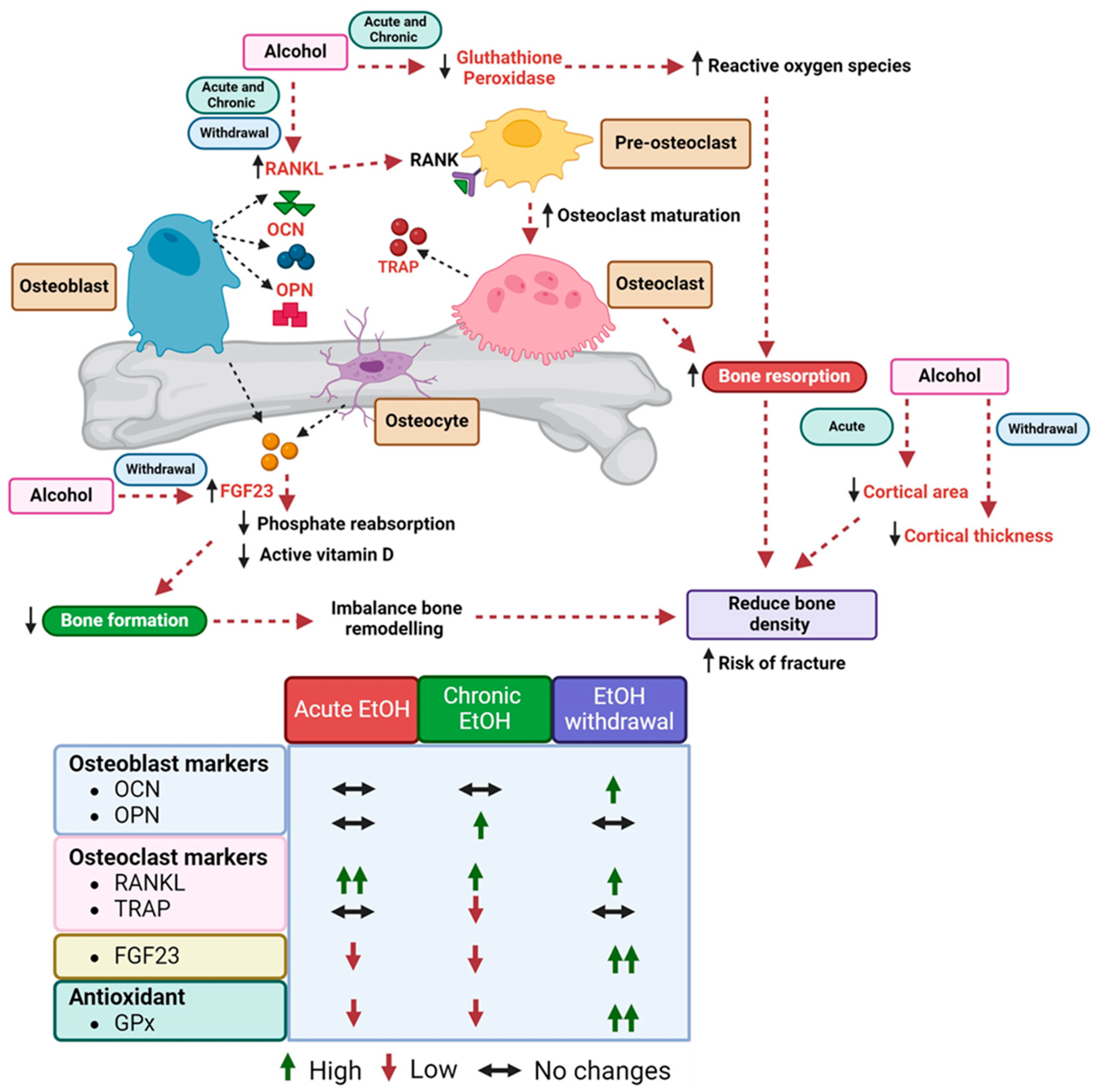 Biomedicines 12 01515 g003 Biomedicines 12 01515 g003