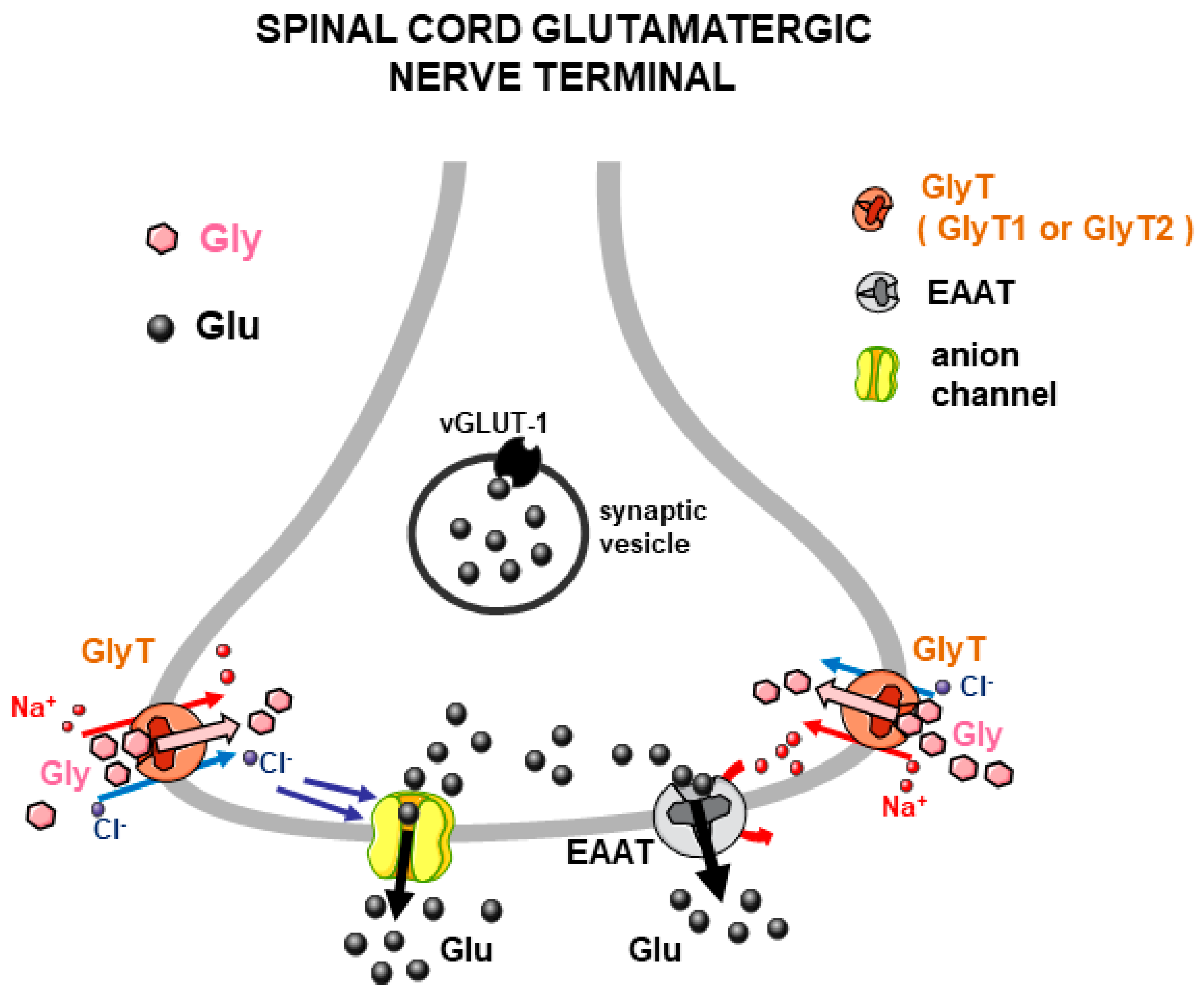 Biomedicines 12 01518 g002