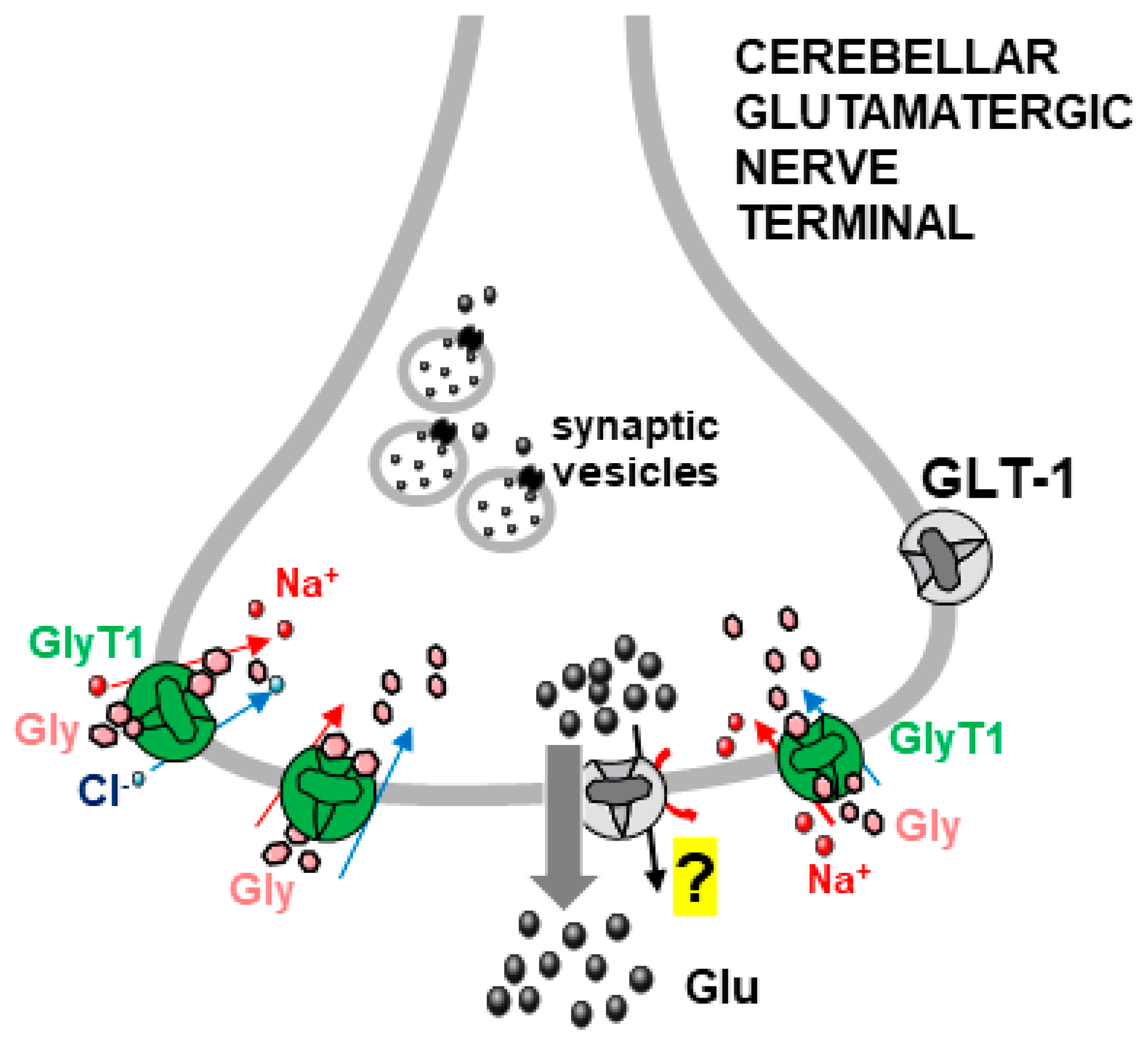 Biomedicines 12 01518 g004