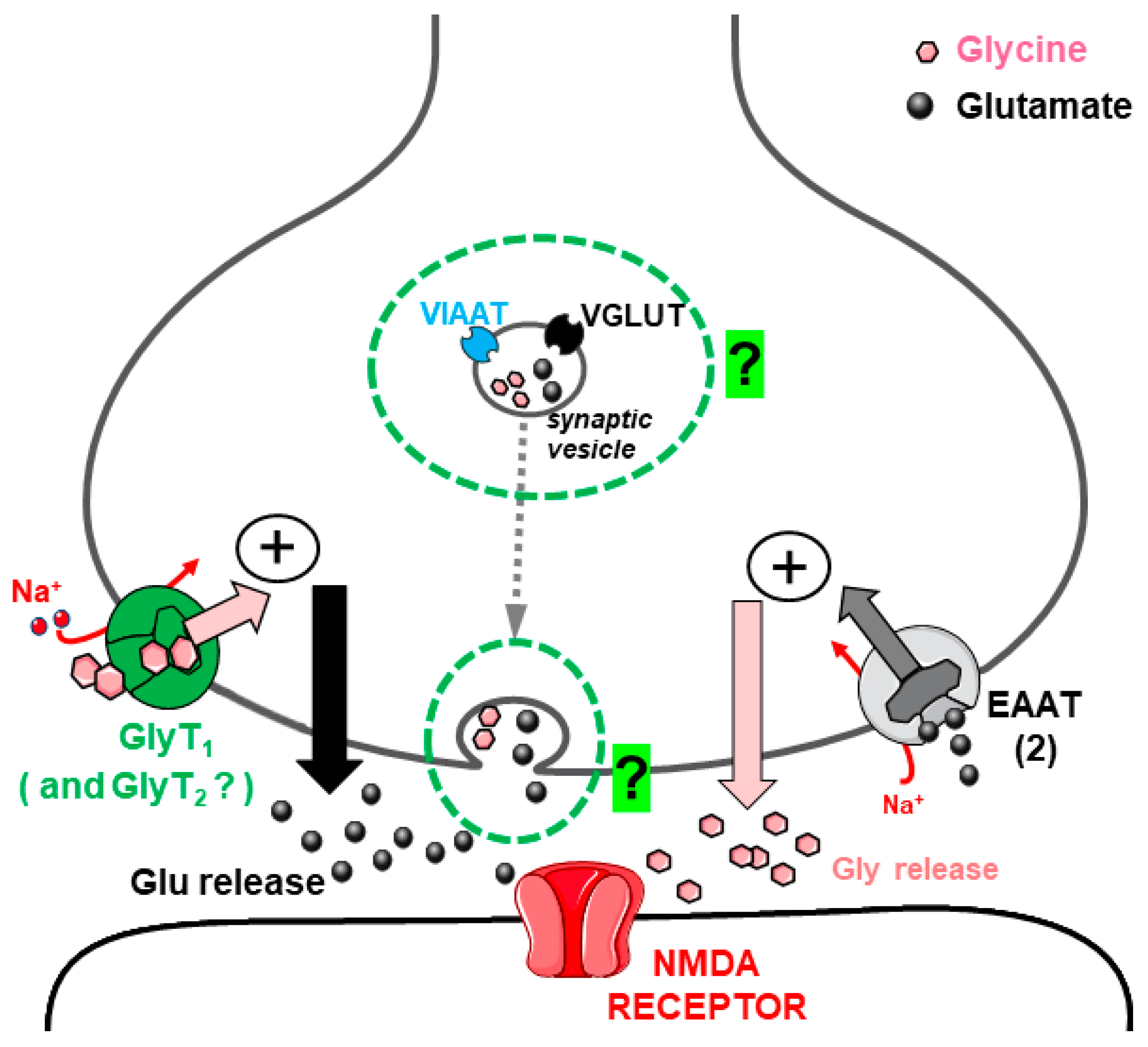 Biomedicines 12 01518 g005