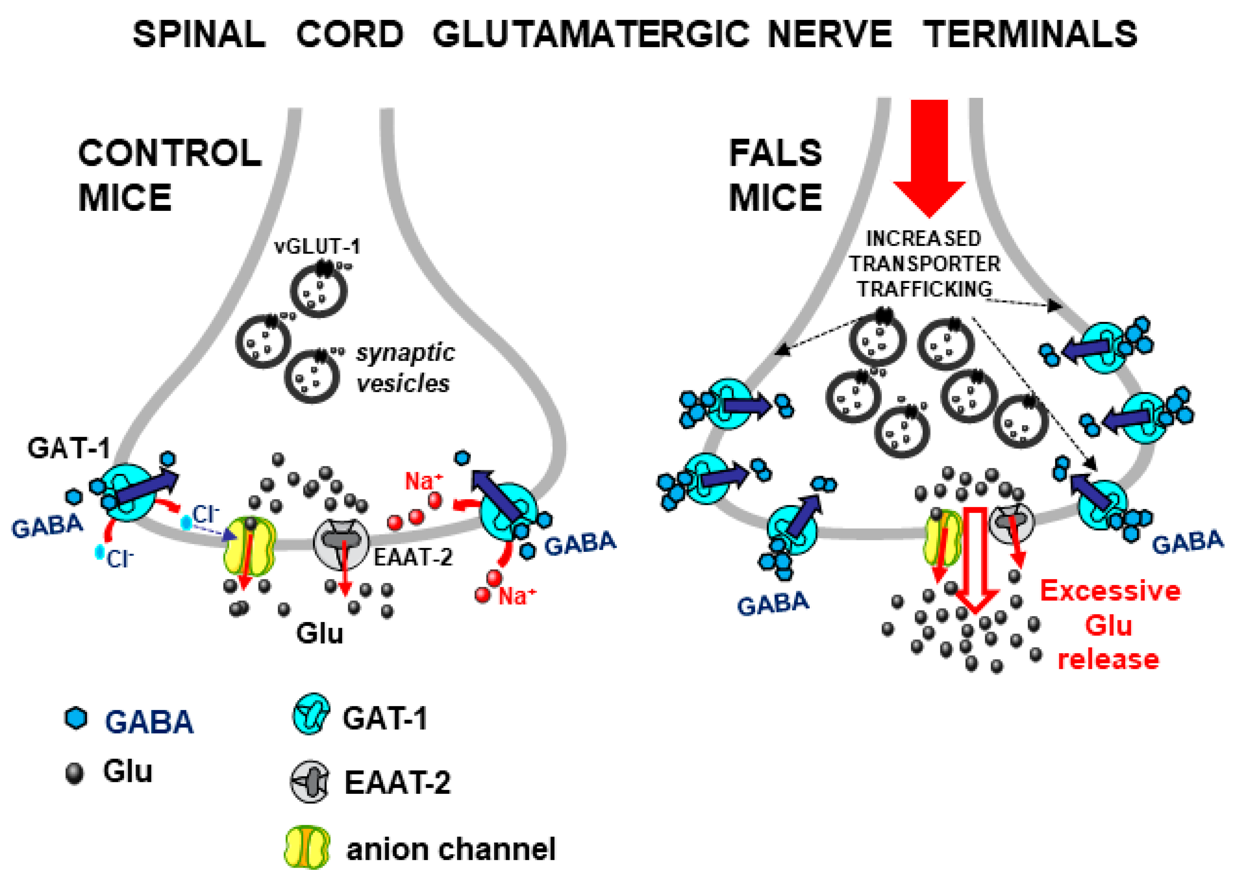 Biomedicines 12 01518 g006