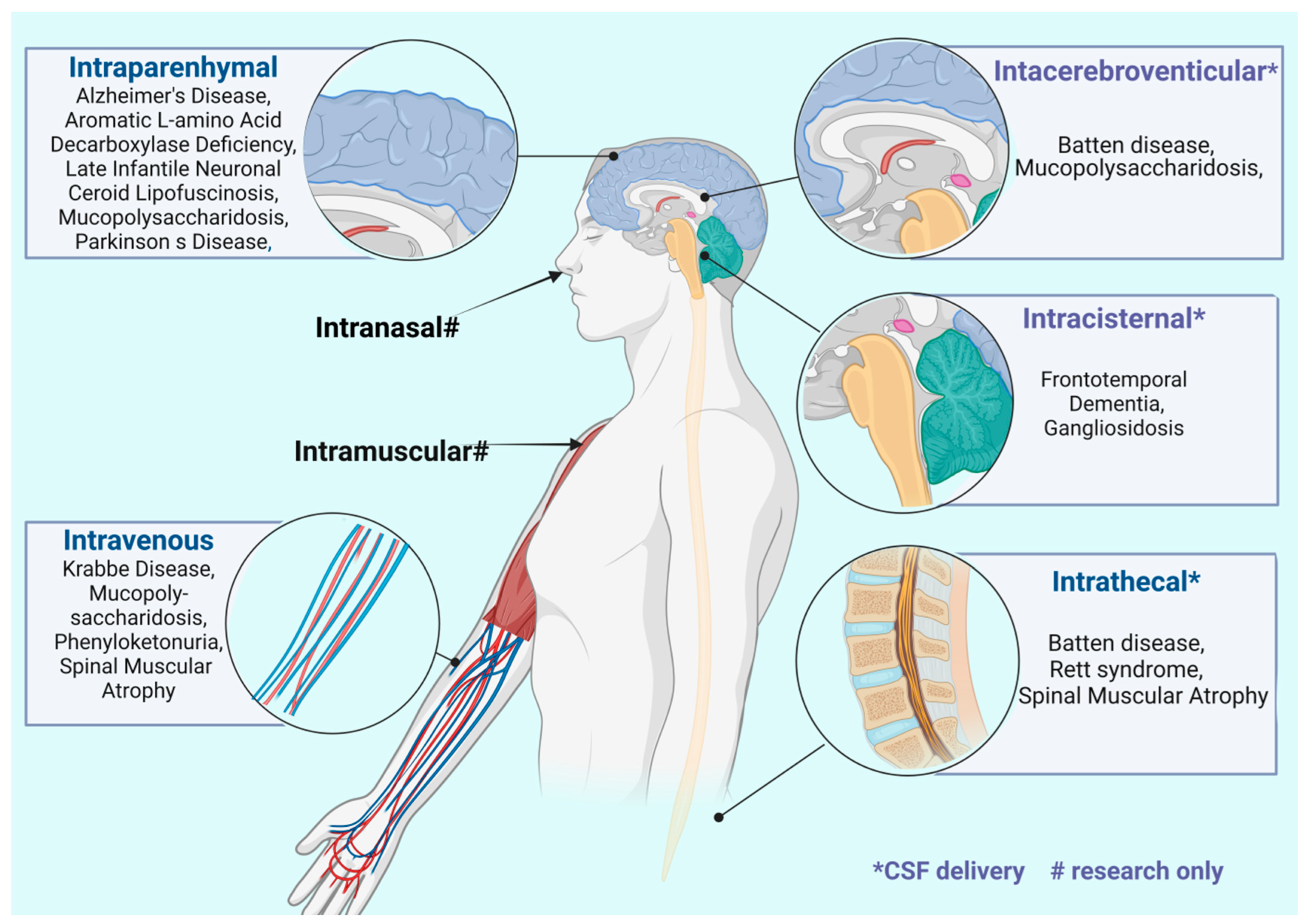 Biomedicines 12 01523 g002 Biomedicines 12 01523 g002
