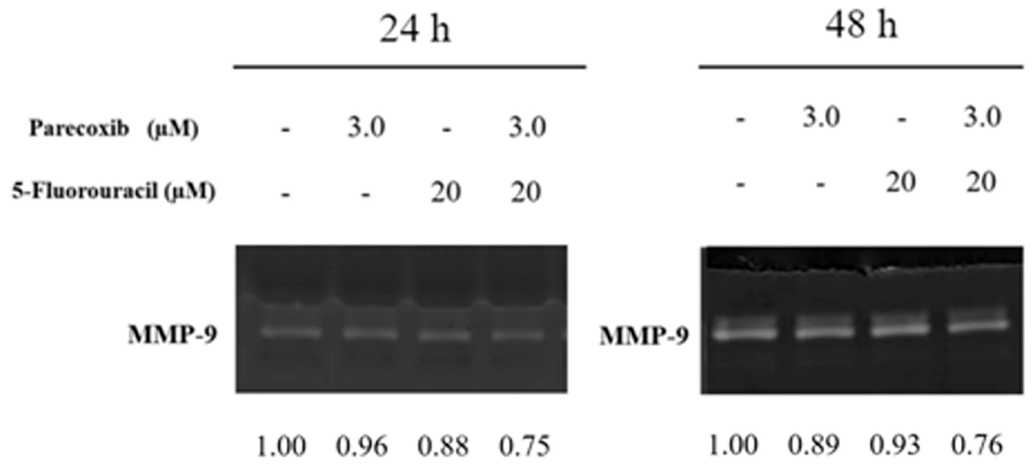 Biomedicines 12 01526 g005