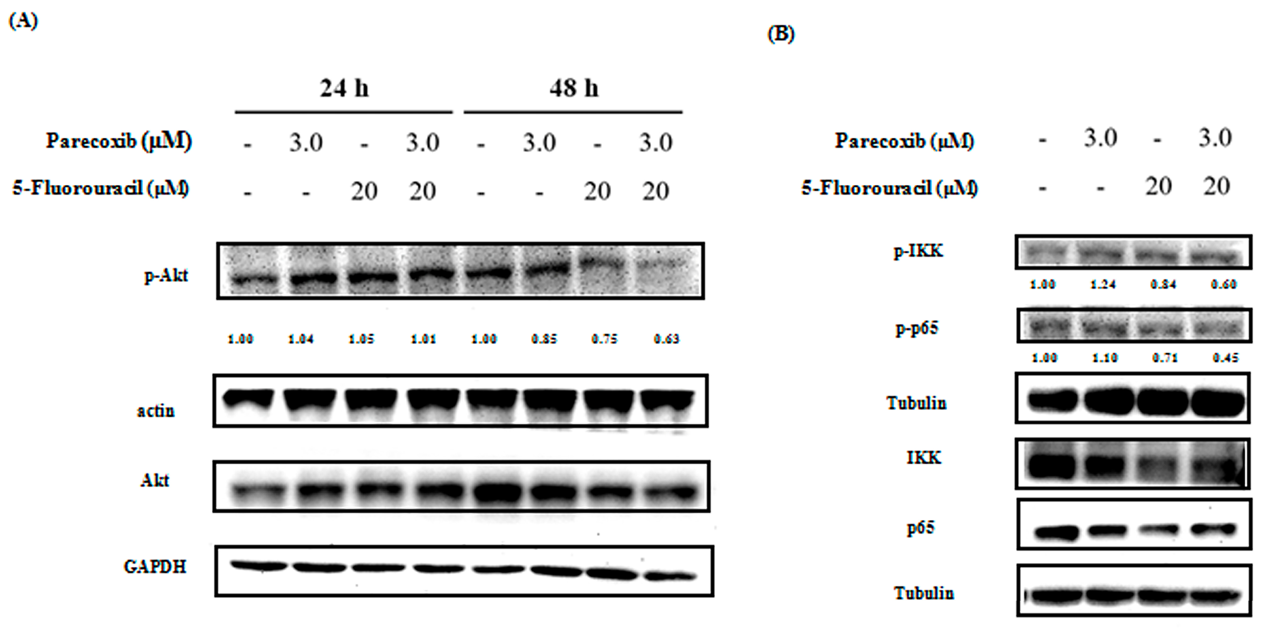 Biomedicines 12 01526 g006