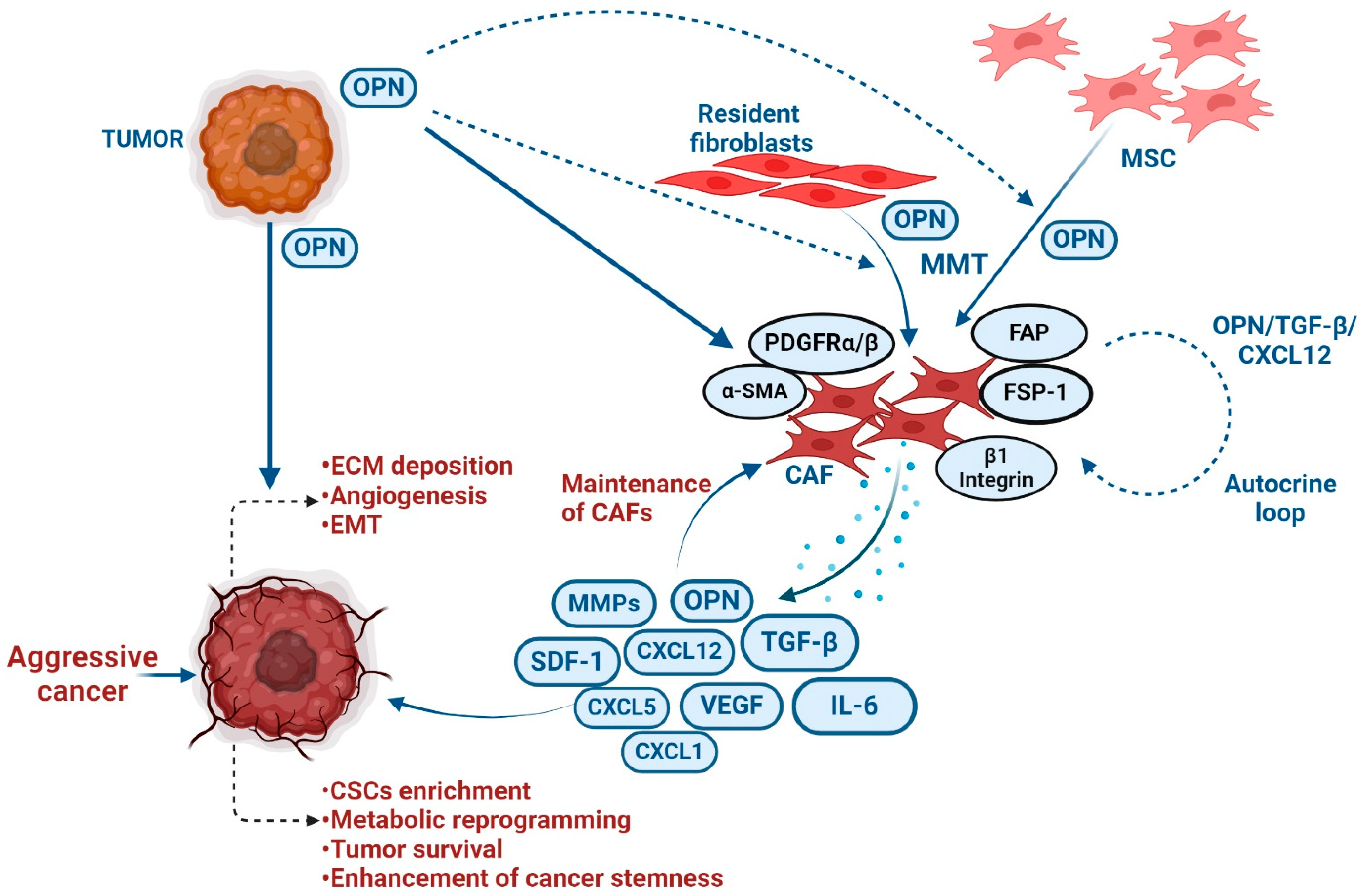 Biomedicines 12 01527 g005