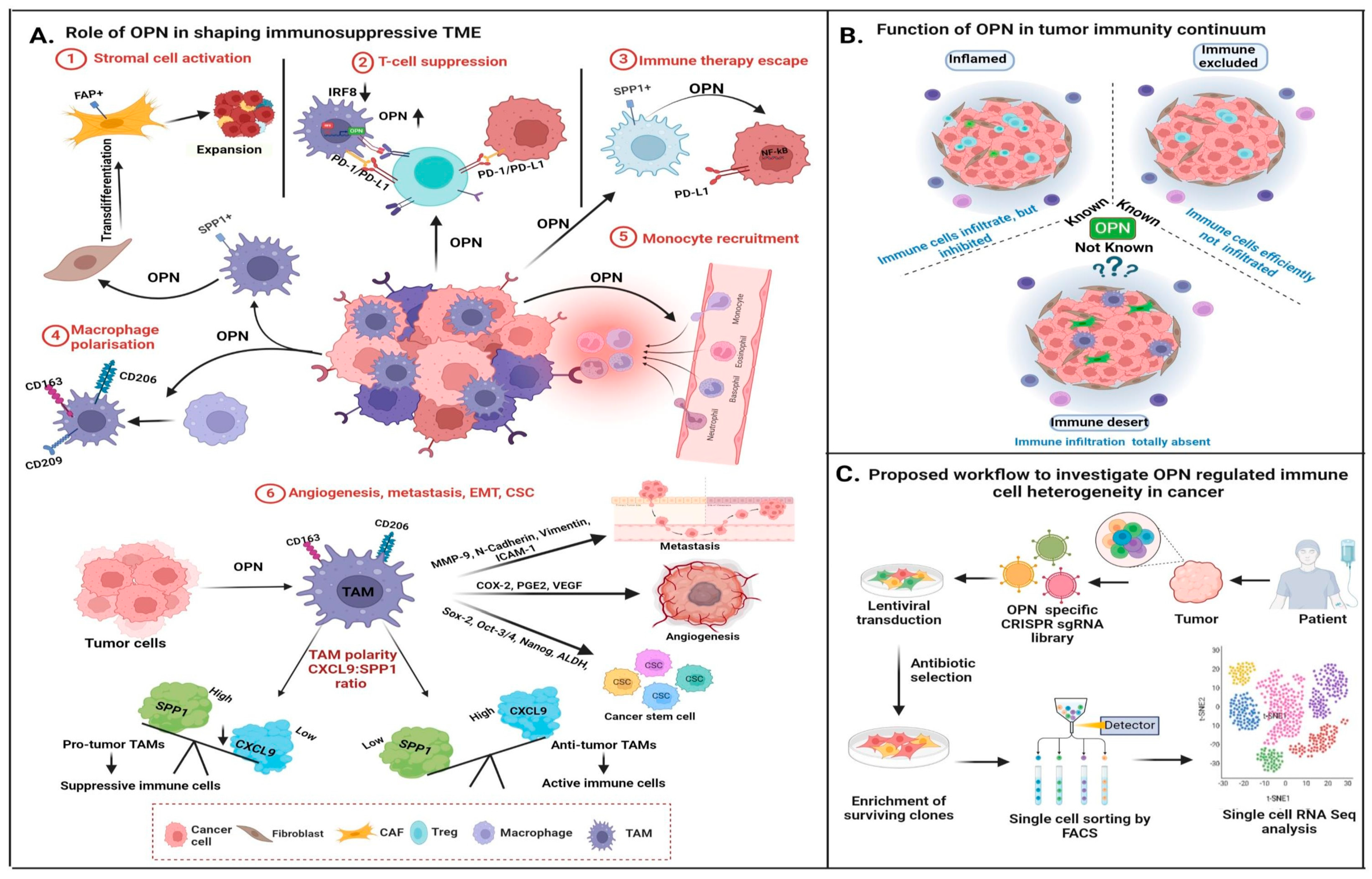 Biomedicines 12 01527 g006