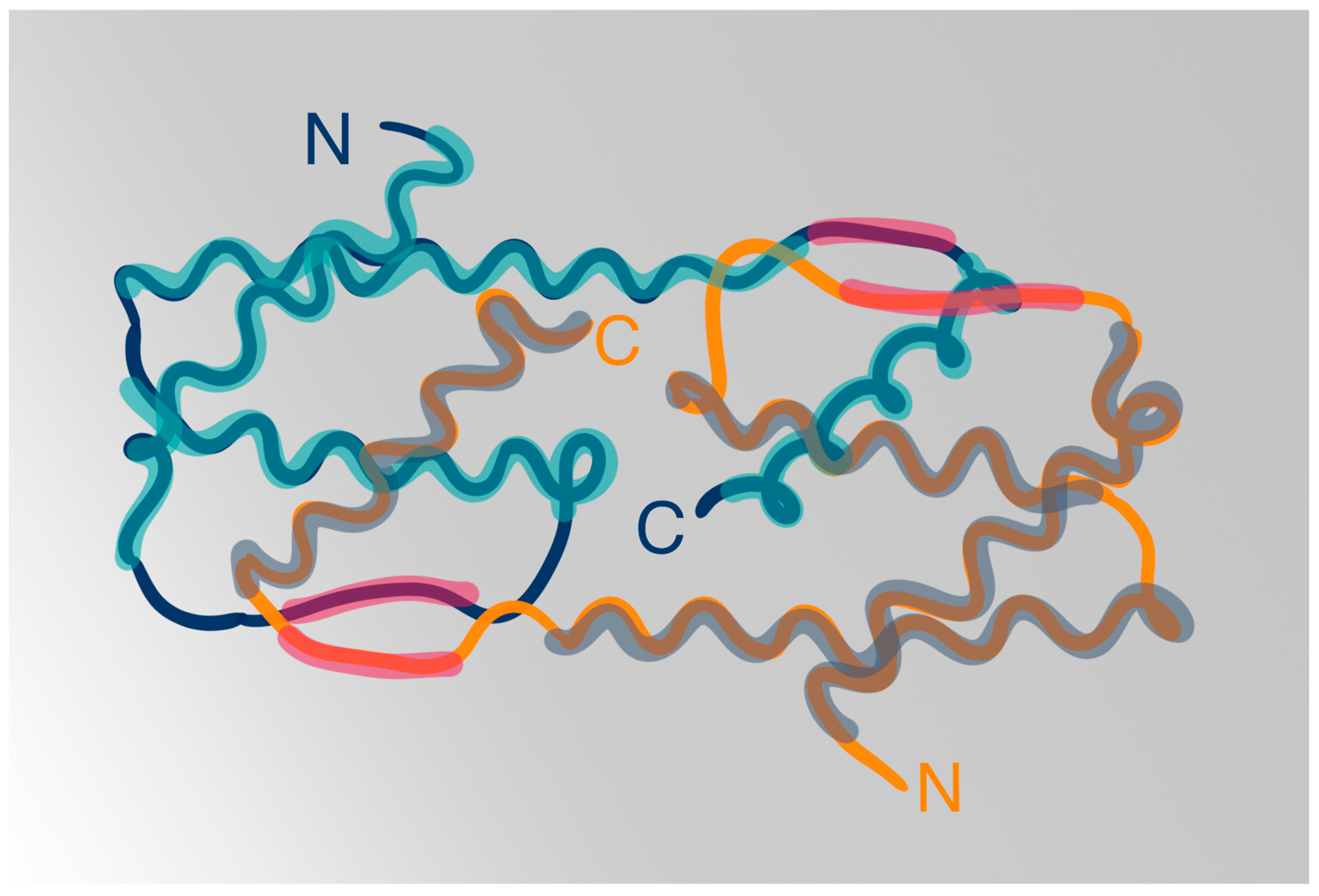 Biomedicines 12 01531 g001