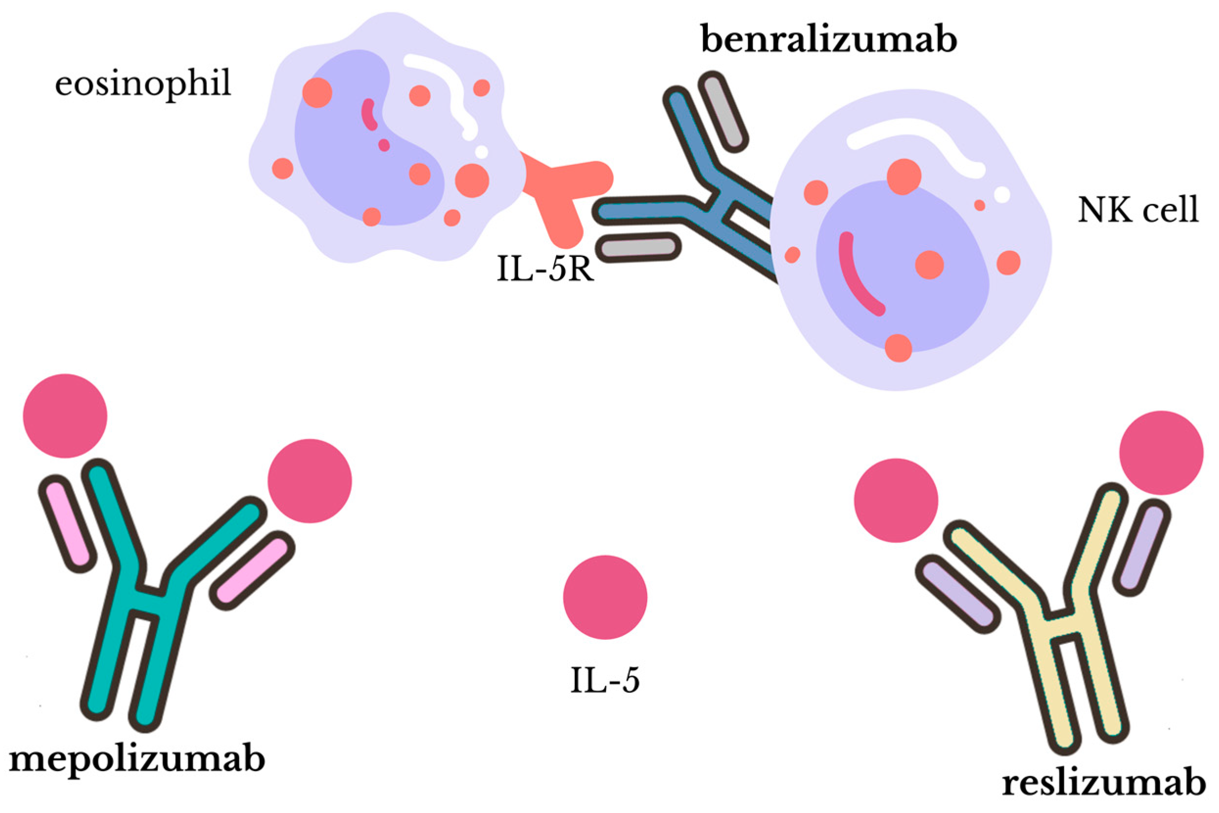 Biomedicines 12 01531 g004