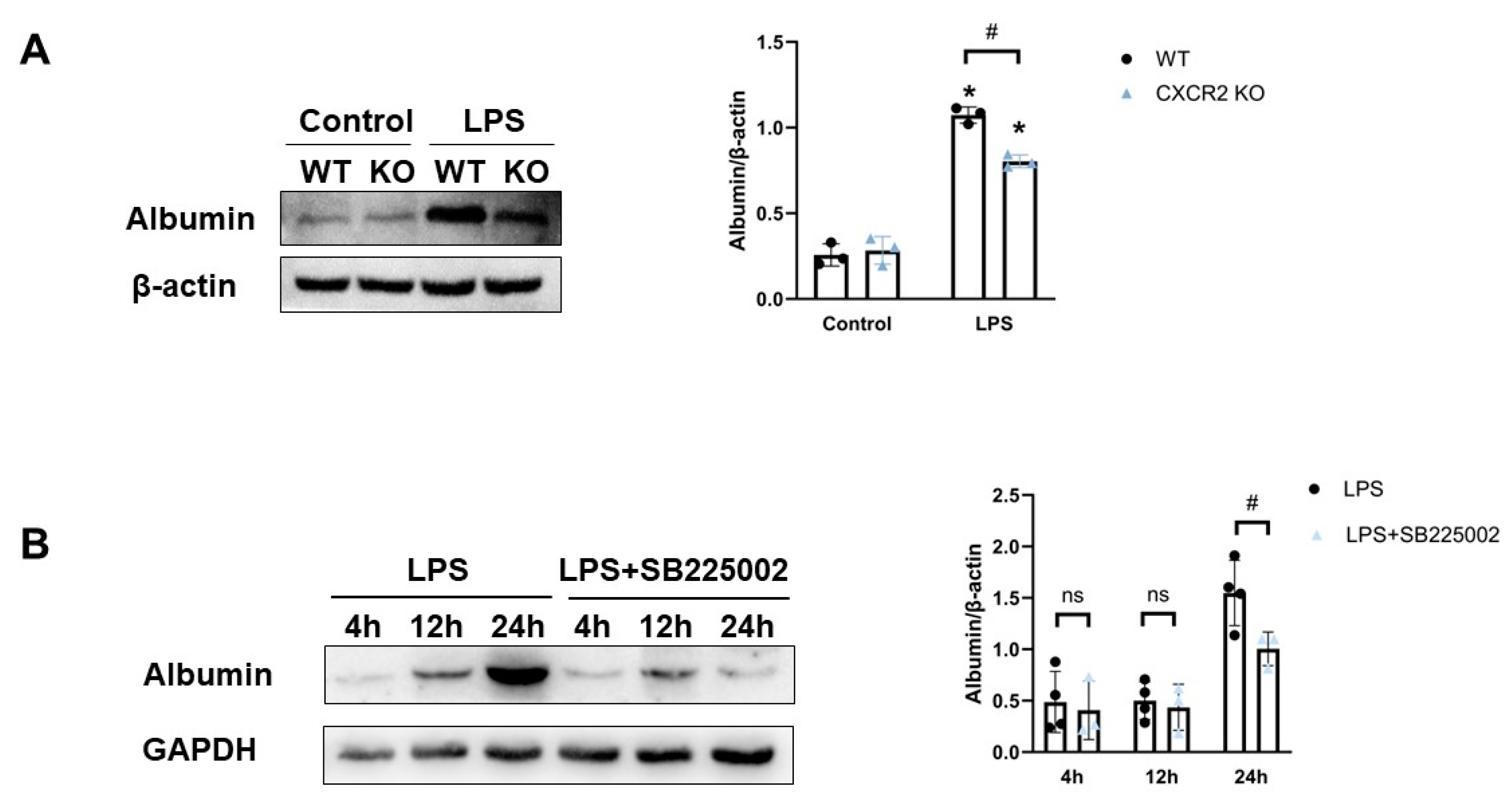 Biomedicines 12 01536 g003