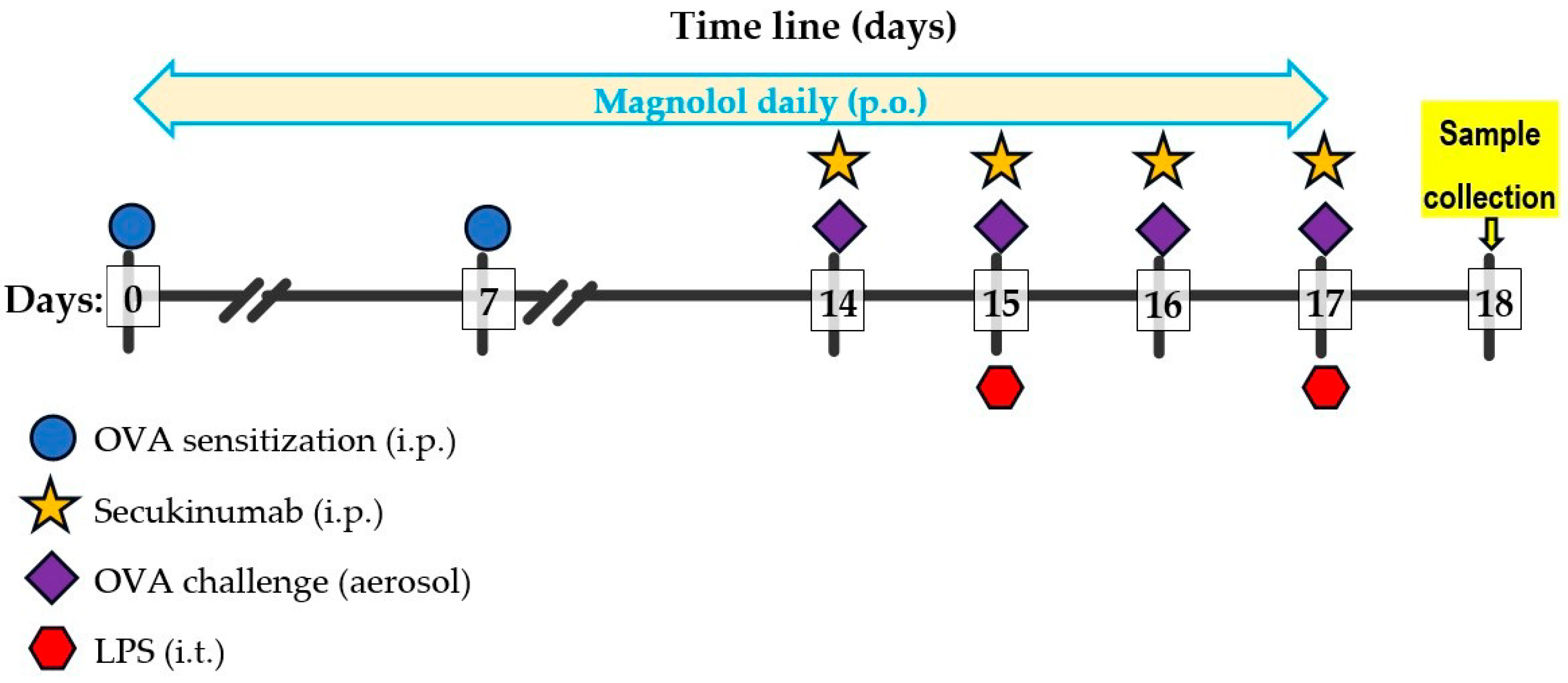 Biomedicines 12 01538 g002
