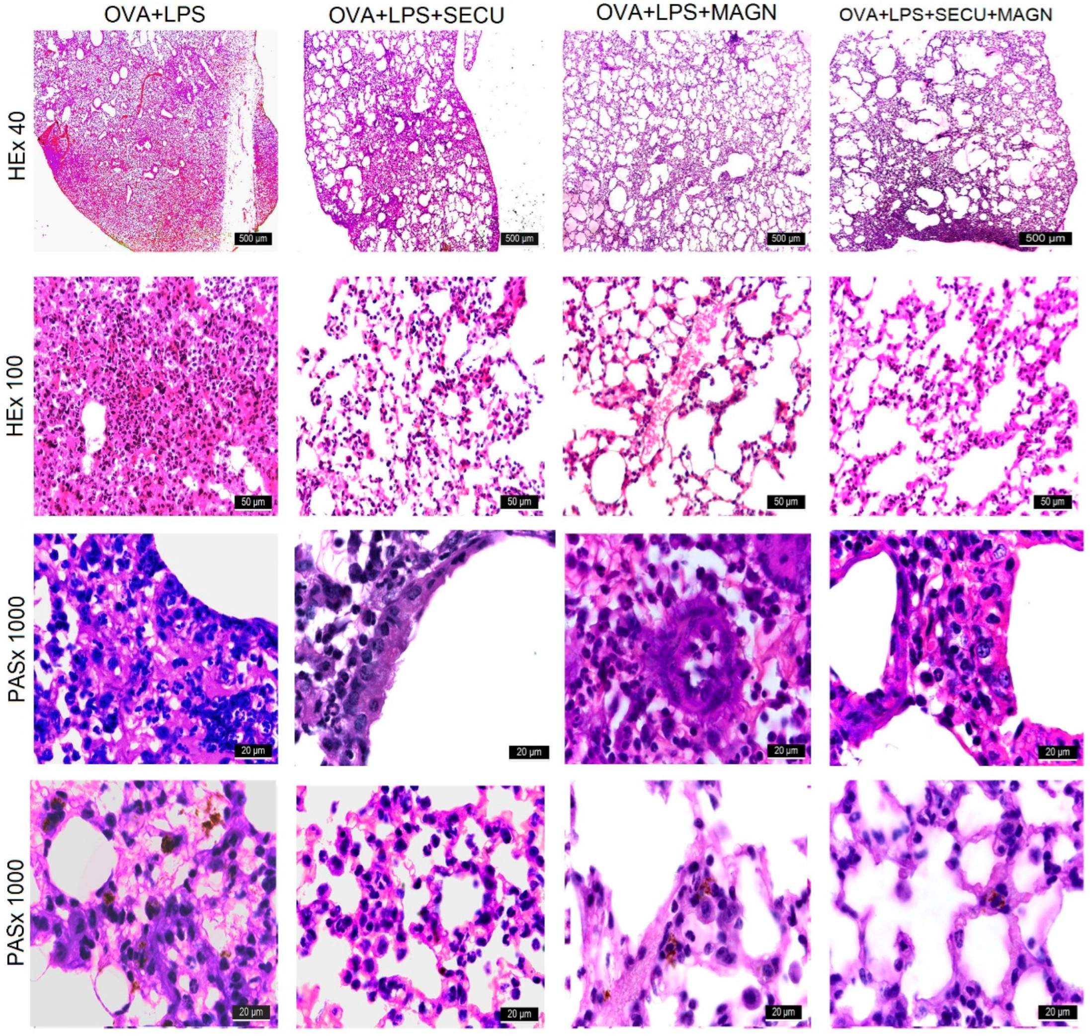 Biomedicines 12 01538 g008