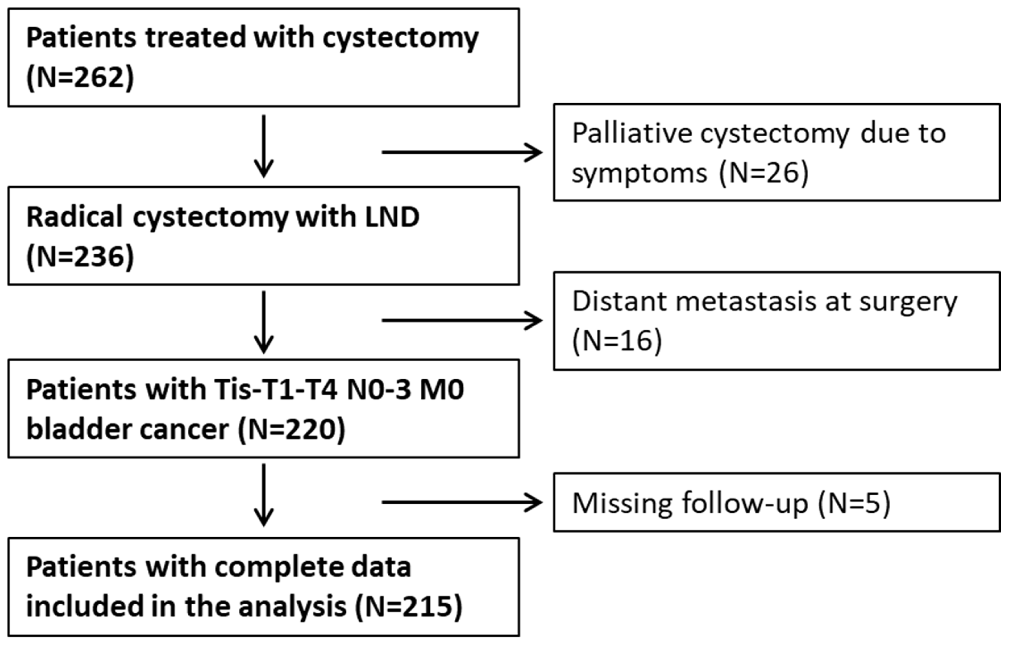 Biomedicines 12 01541 g001