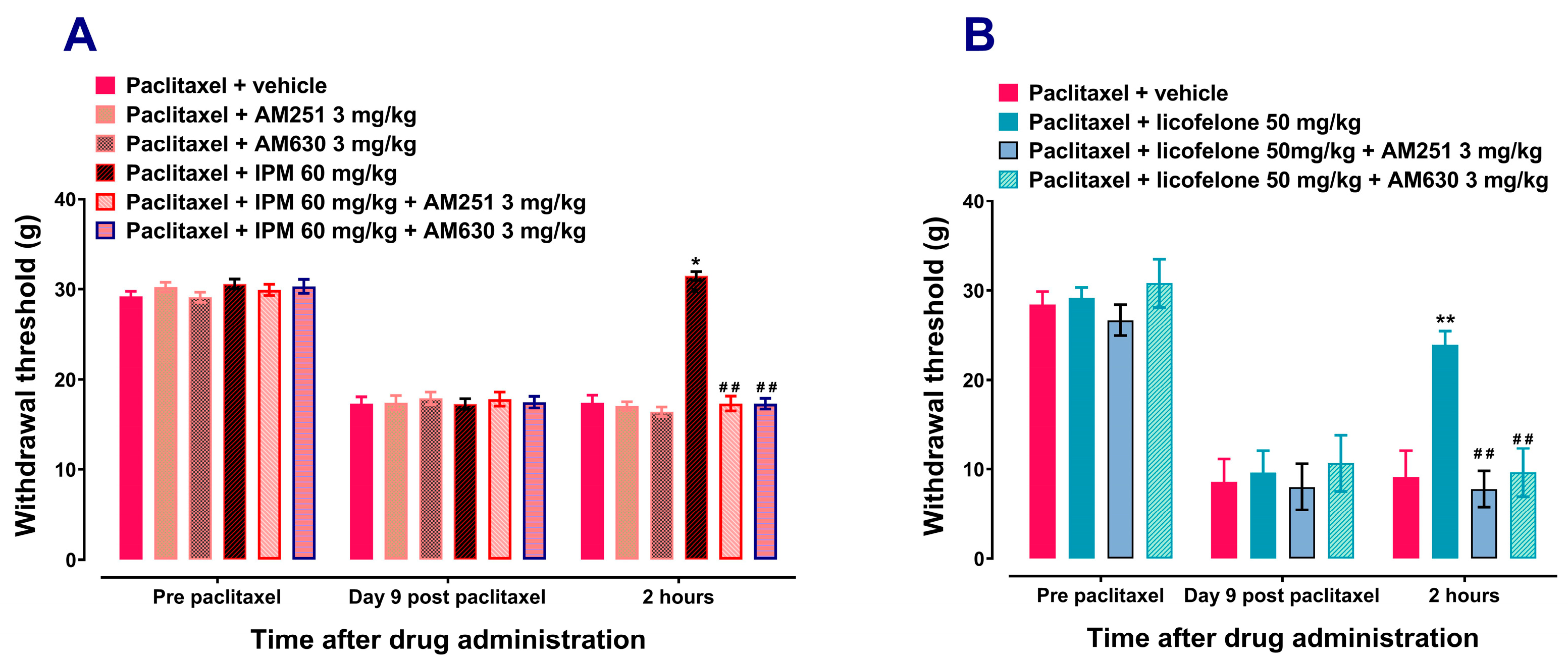 Biomedicines 12 01545 g003