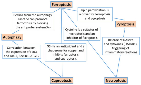 Forms of Non-Apoptotic Cell Death and Their Role in Gliomas
