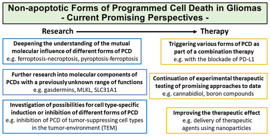 Forms of Non-Apoptotic Cell Death and Their Role in Gliomas