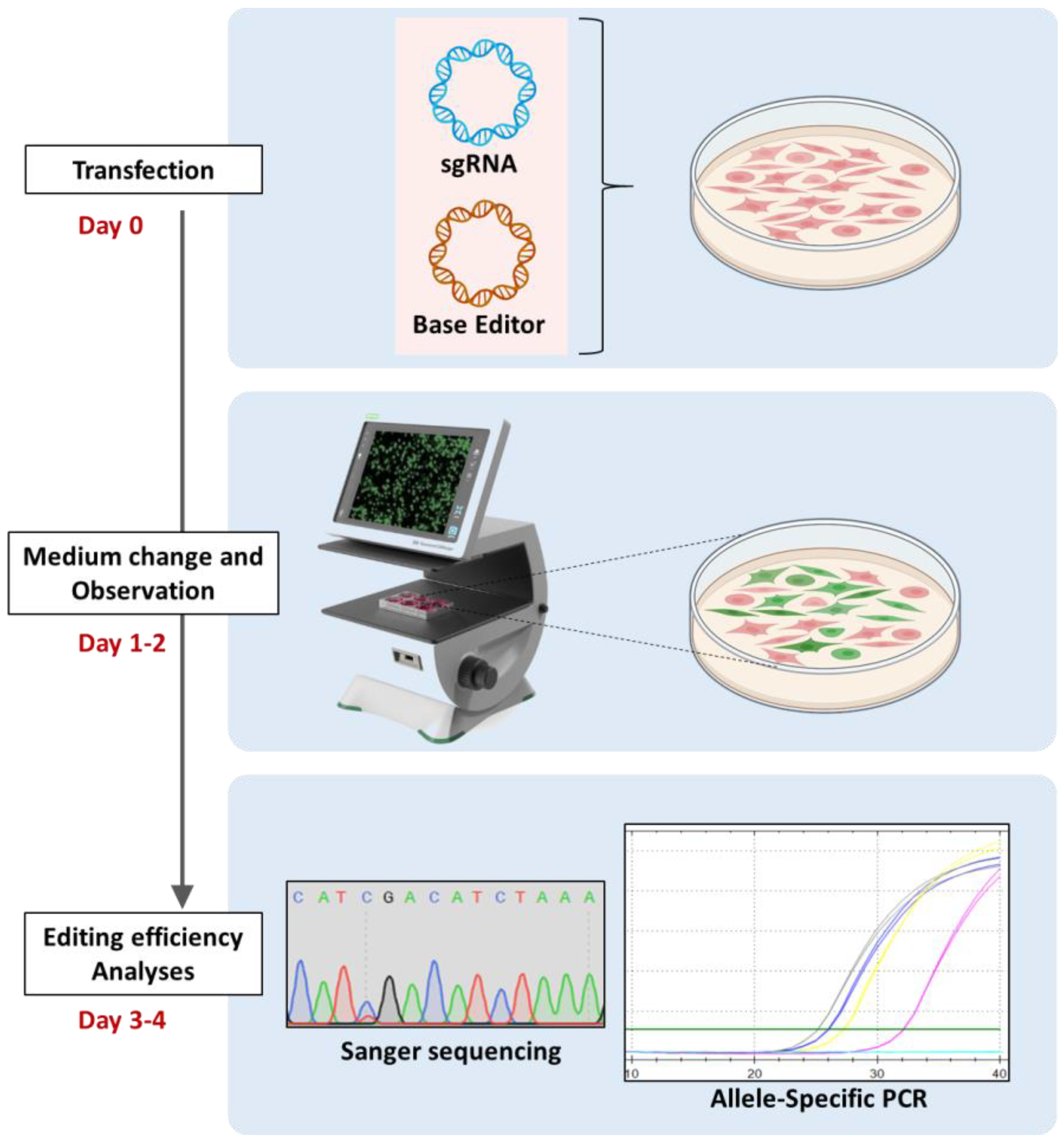 Biomedicines 12 01550 g001