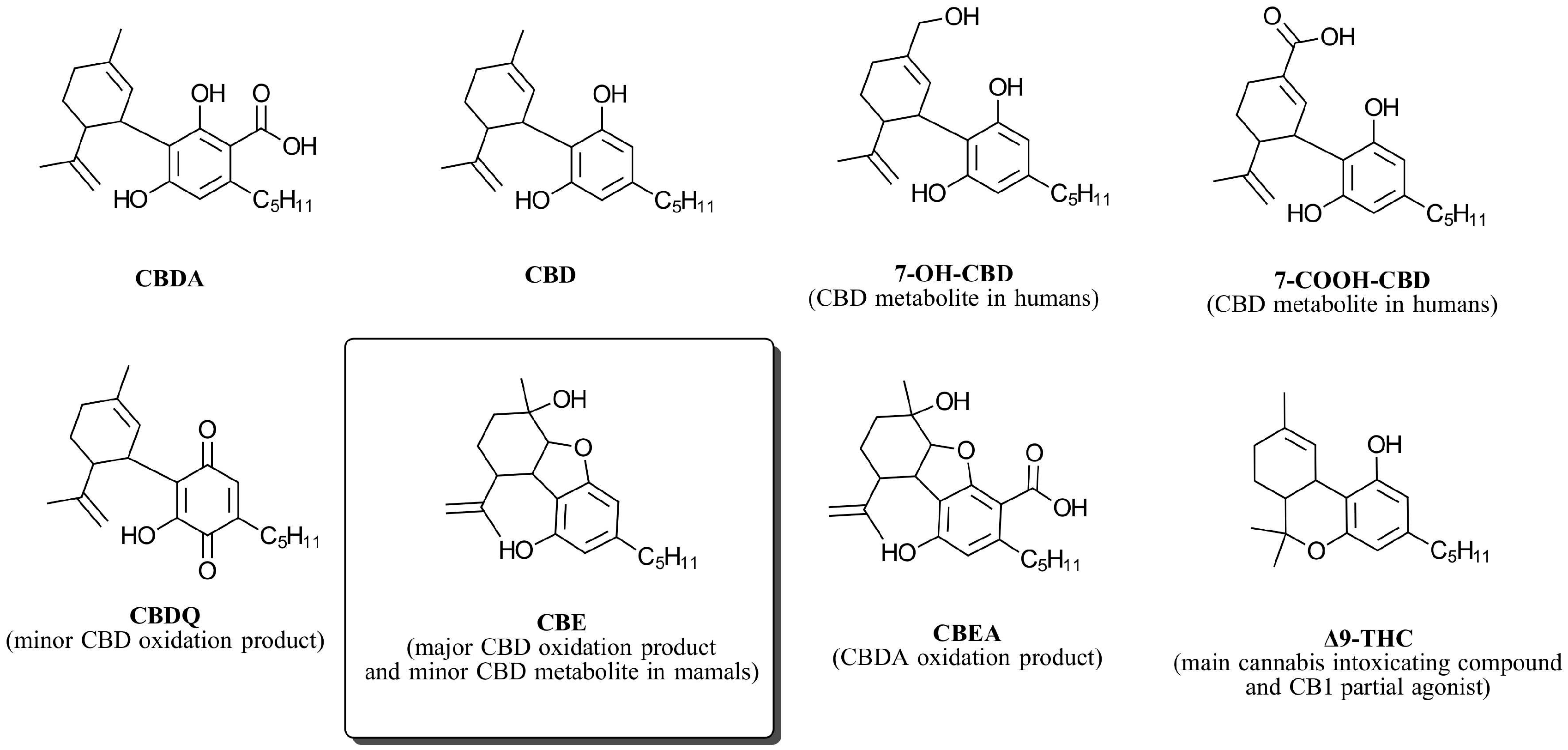 Biomedicines 12 01551 g001