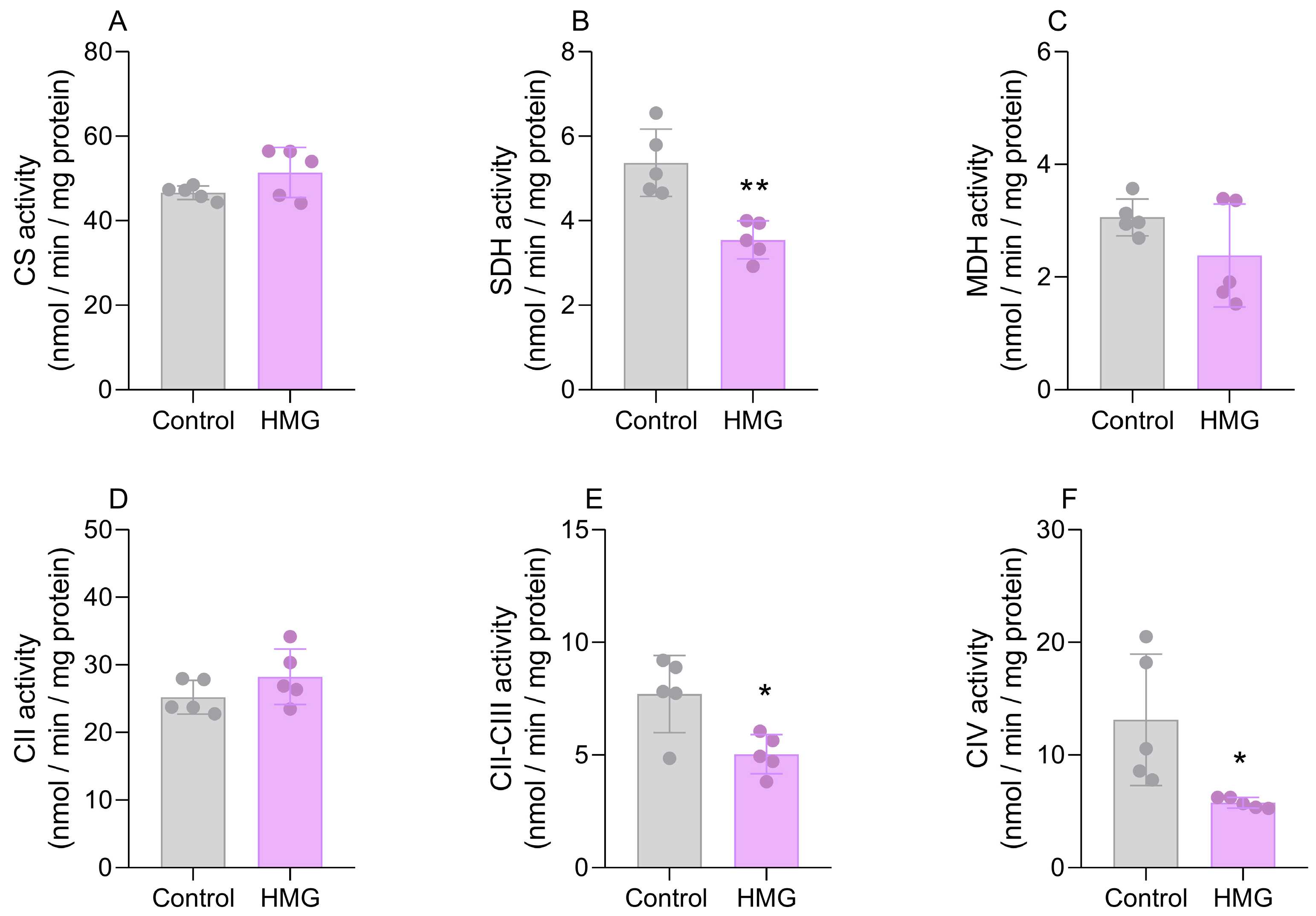 Biomedicines 12 01563 g003