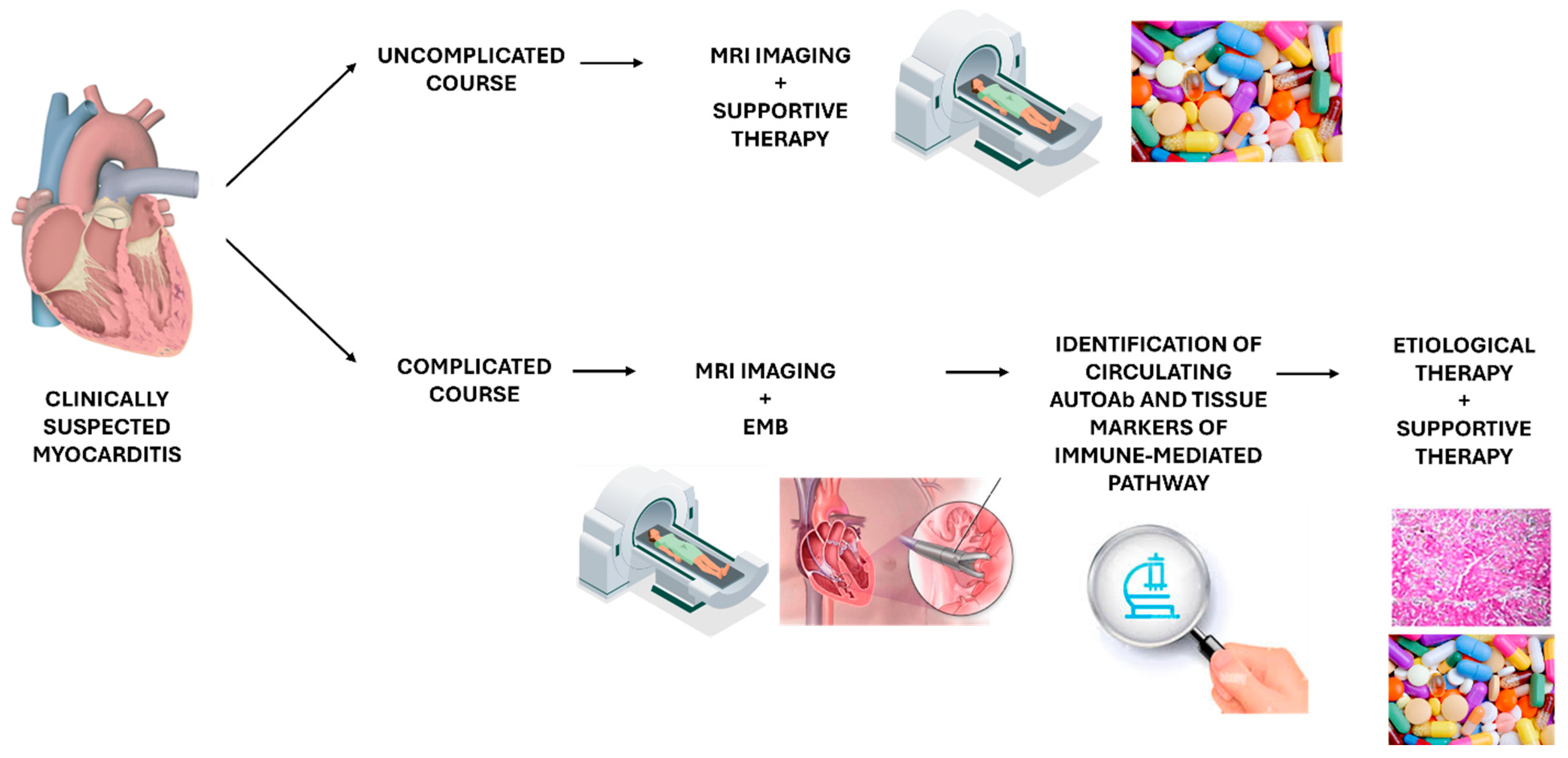 Biomedicines 12 01565 g002
