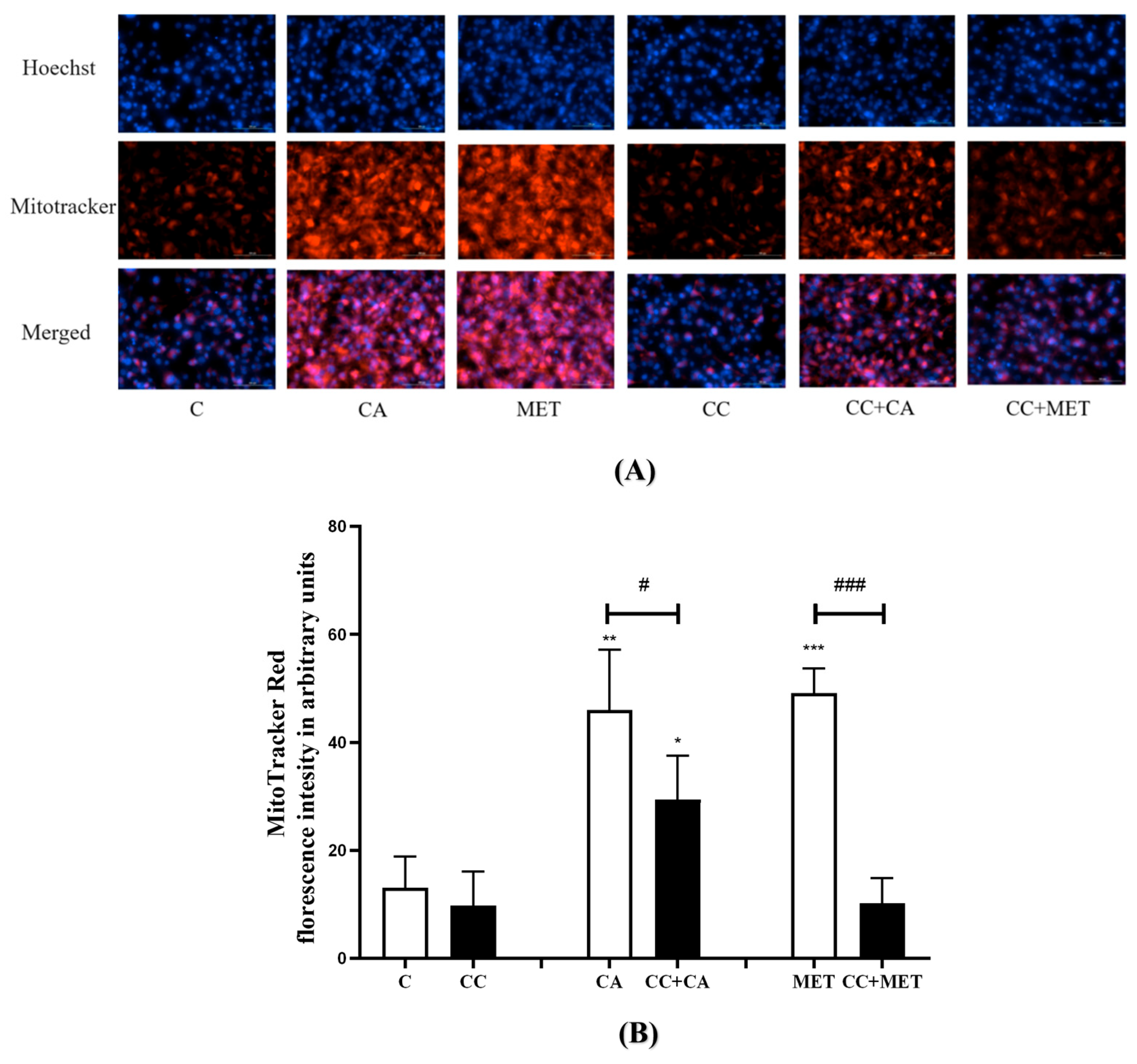 Biomedicines 12 01569 g002