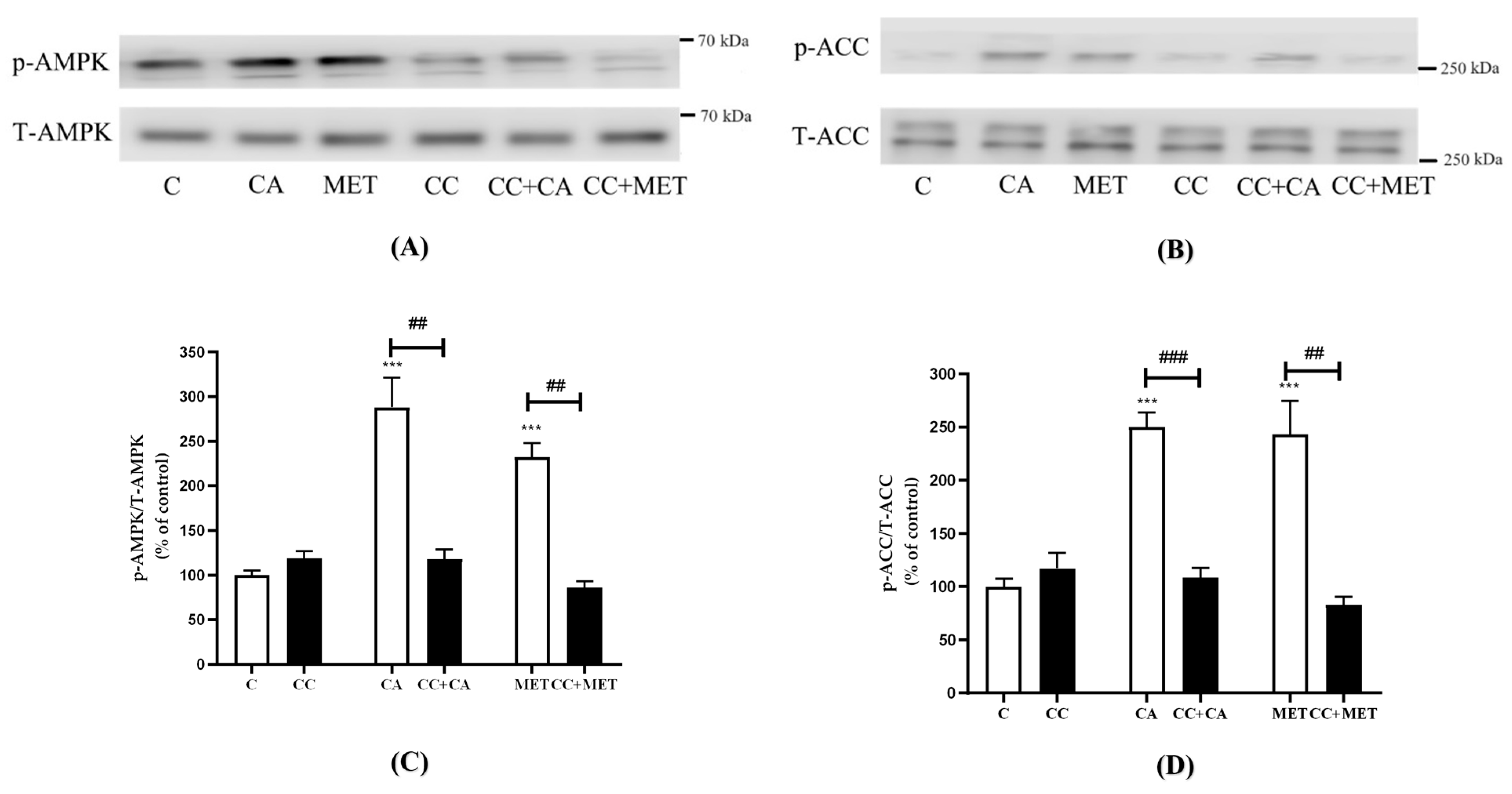 Biomedicines 12 01569 g003