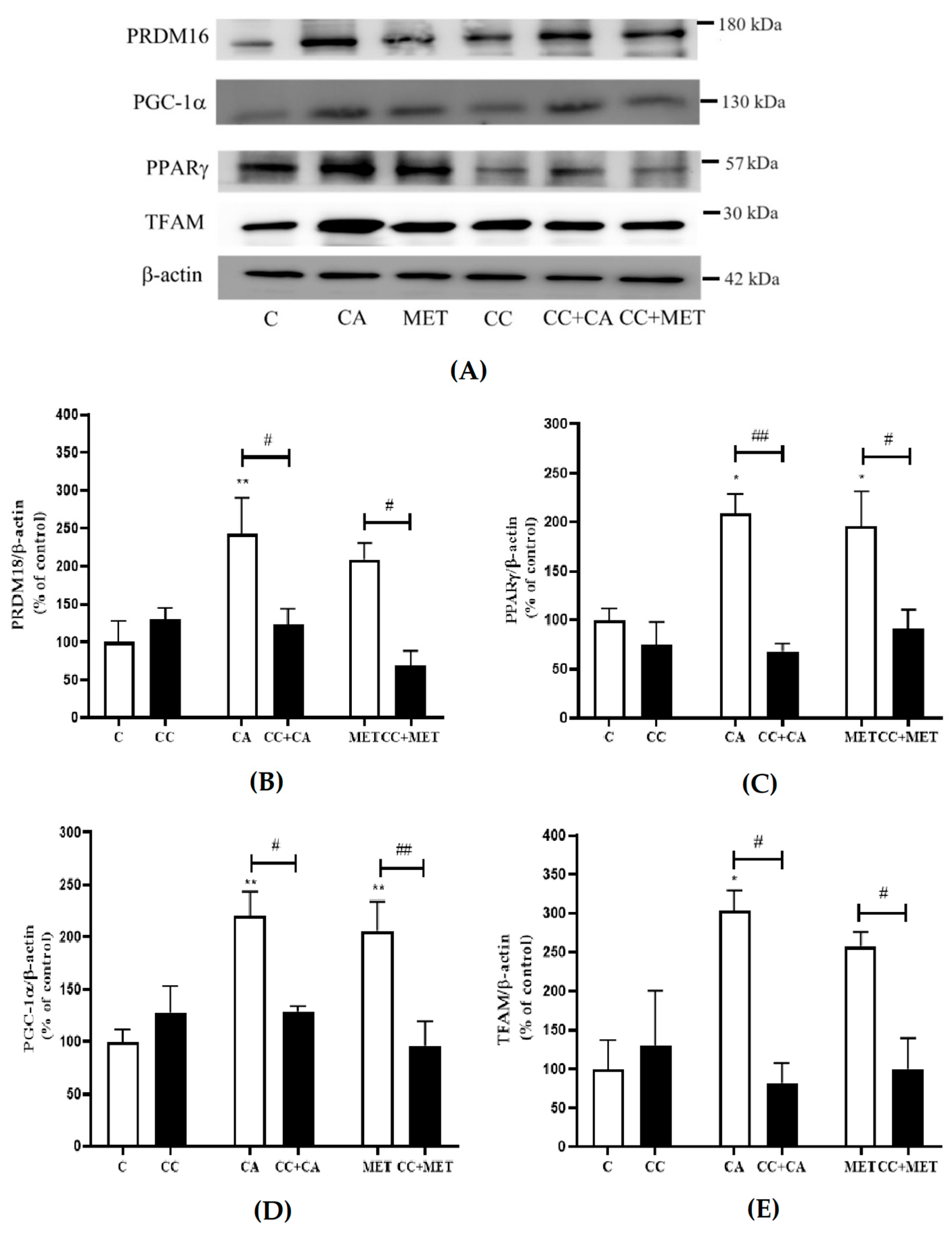 Biomedicines 12 01569 g005