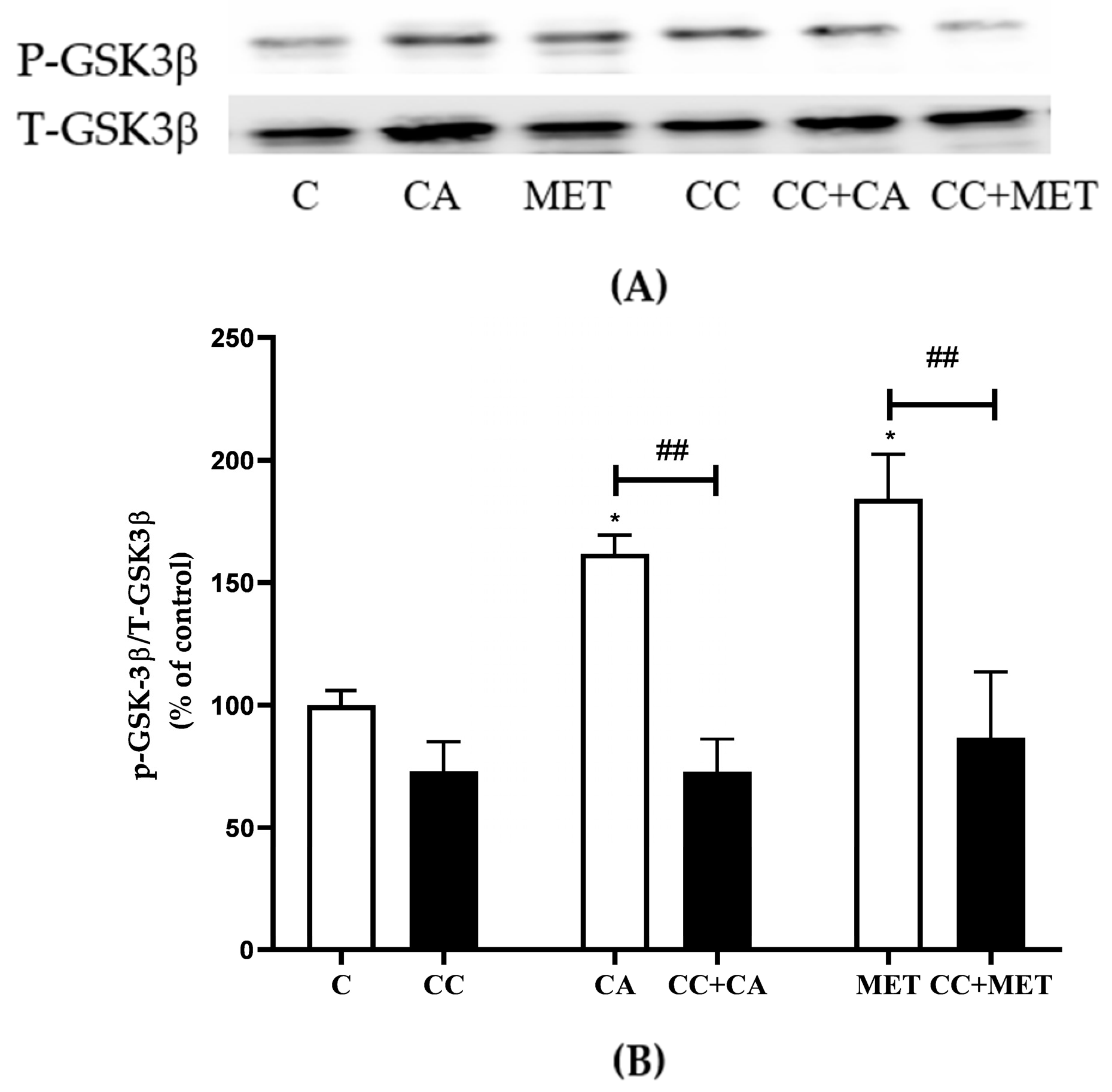 Biomedicines 12 01569 g007