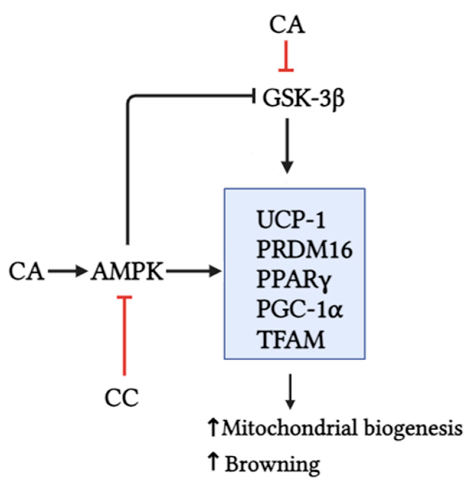 Biomedicines 12 01569 g008
