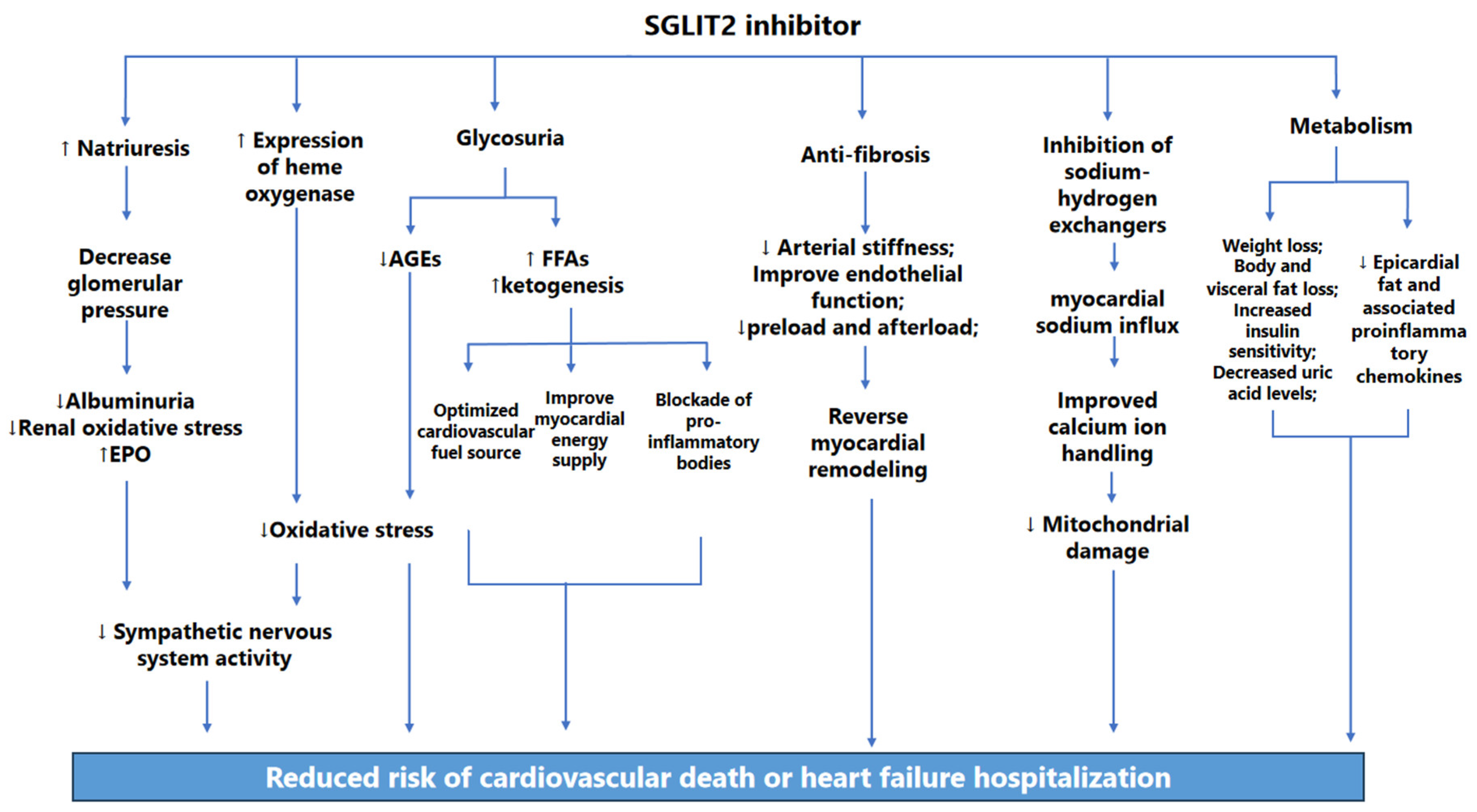 Biomedicines 12 01572 g003
