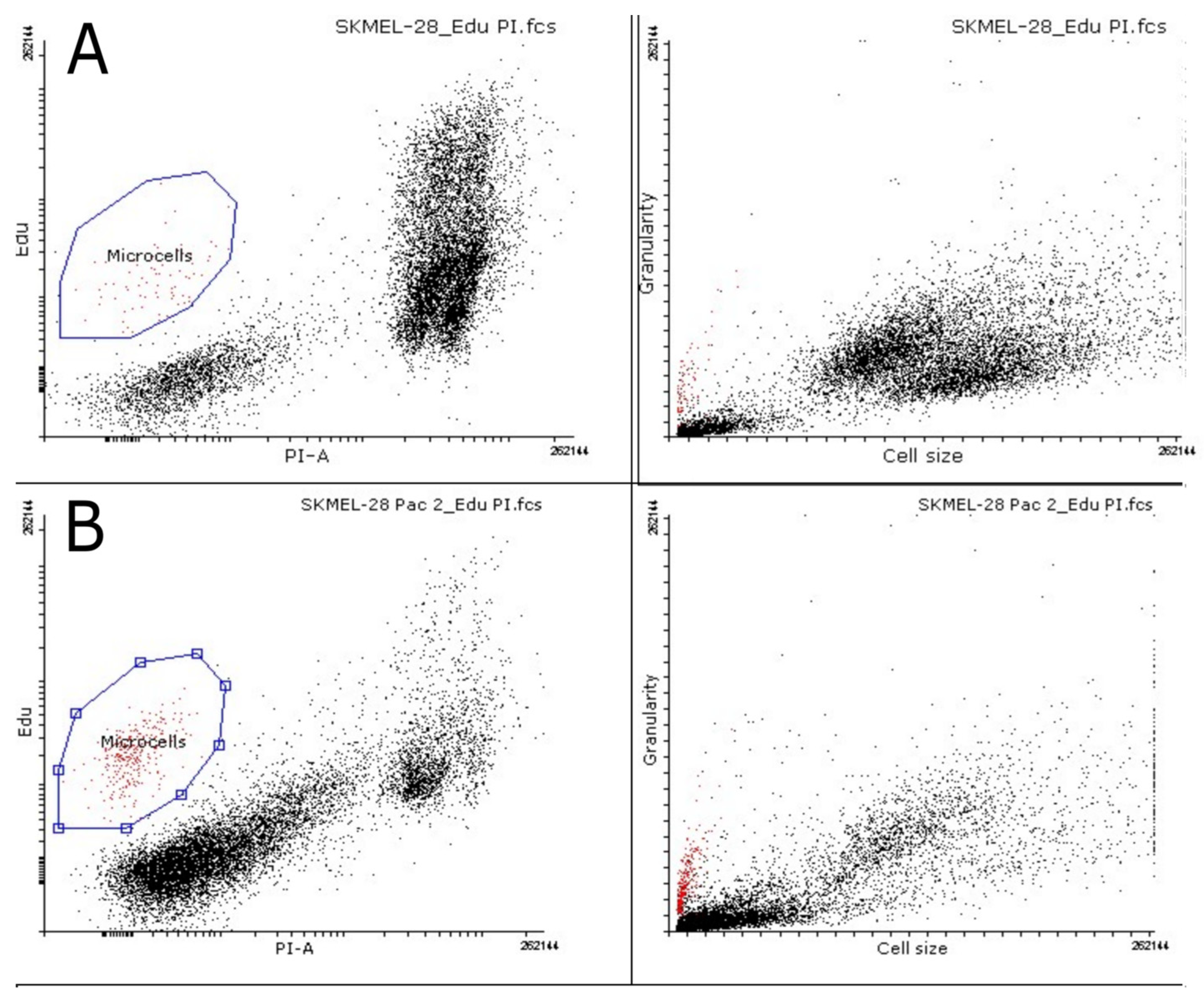 Biomedicines 12 01576 g007
