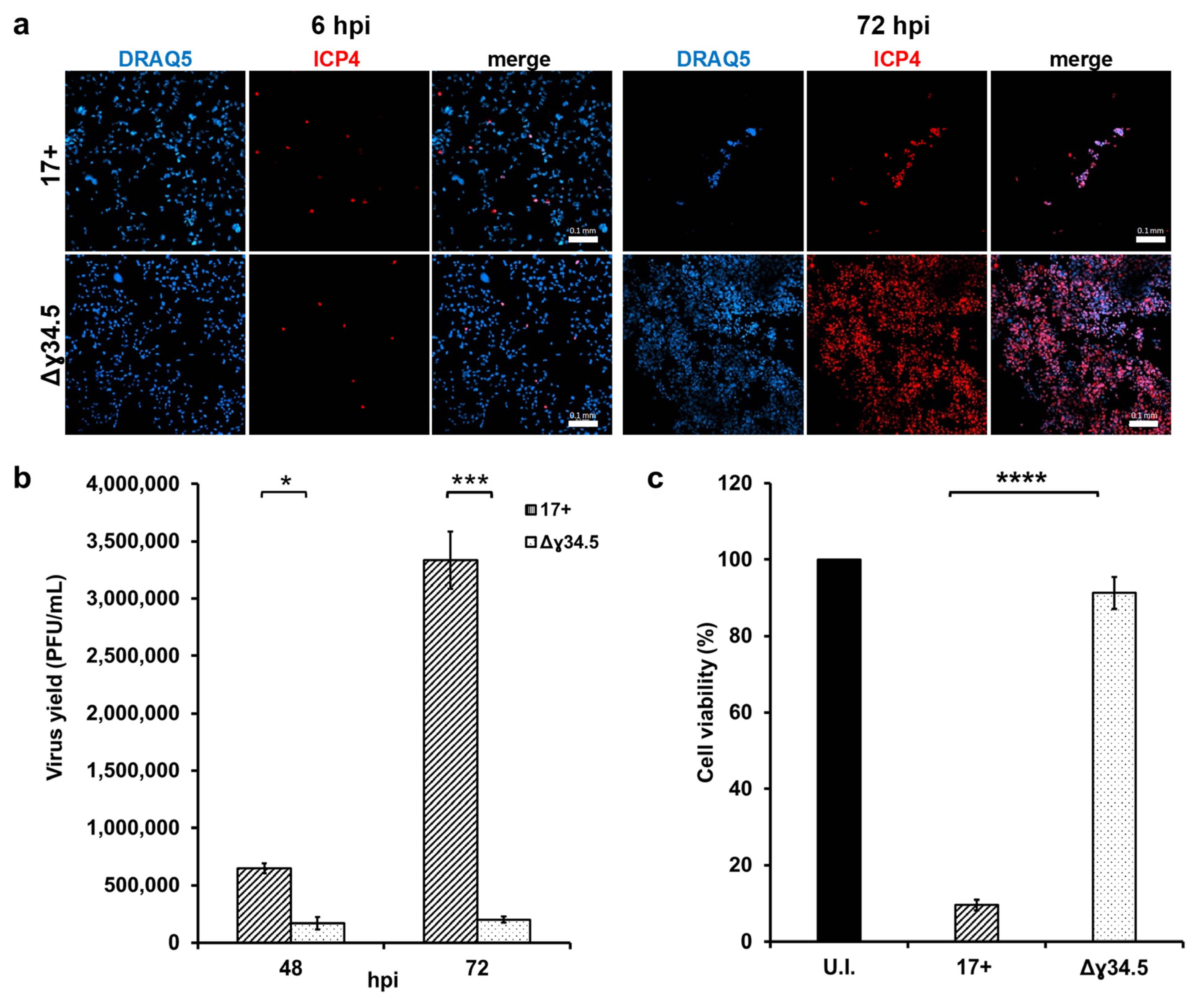 Biomedicines 12 01577 g001