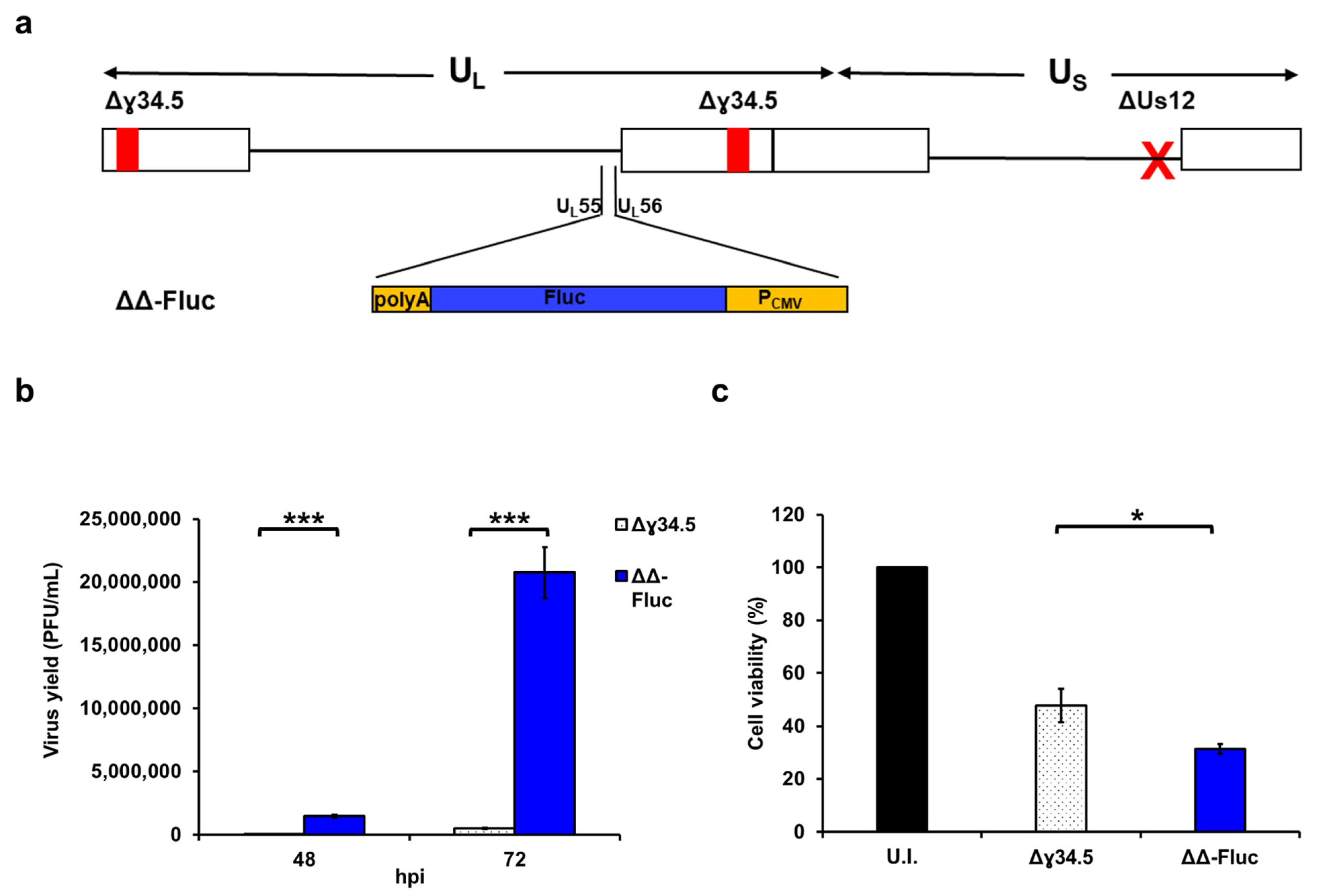 Biomedicines 12 01577 g002