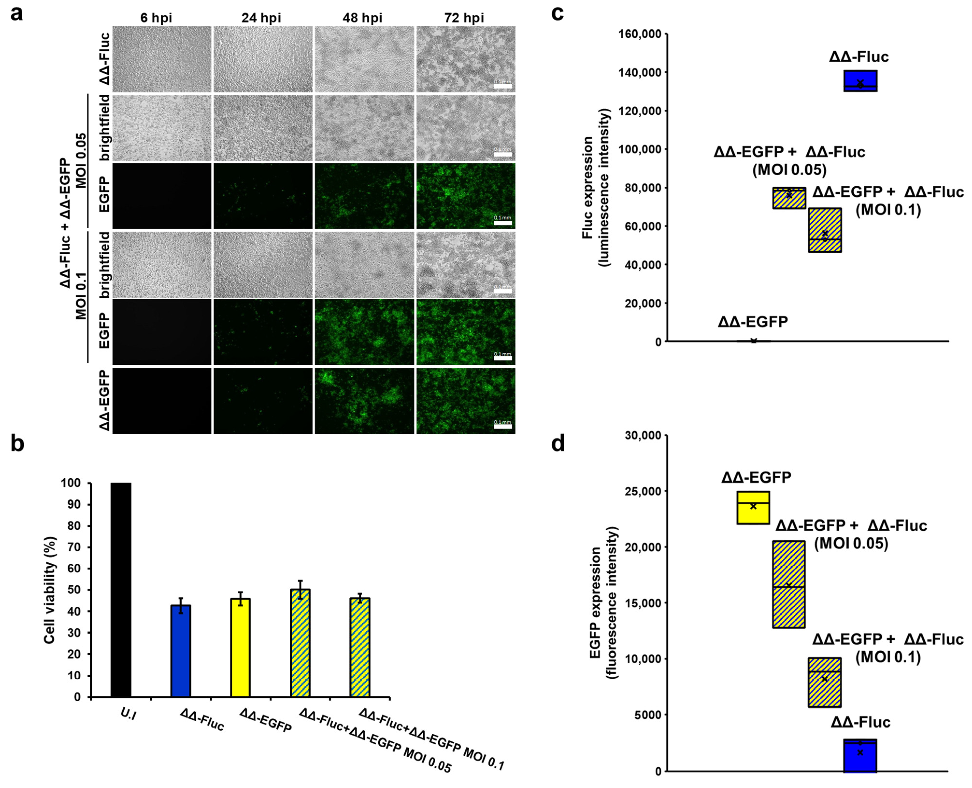 Biomedicines 12 01577 g004
