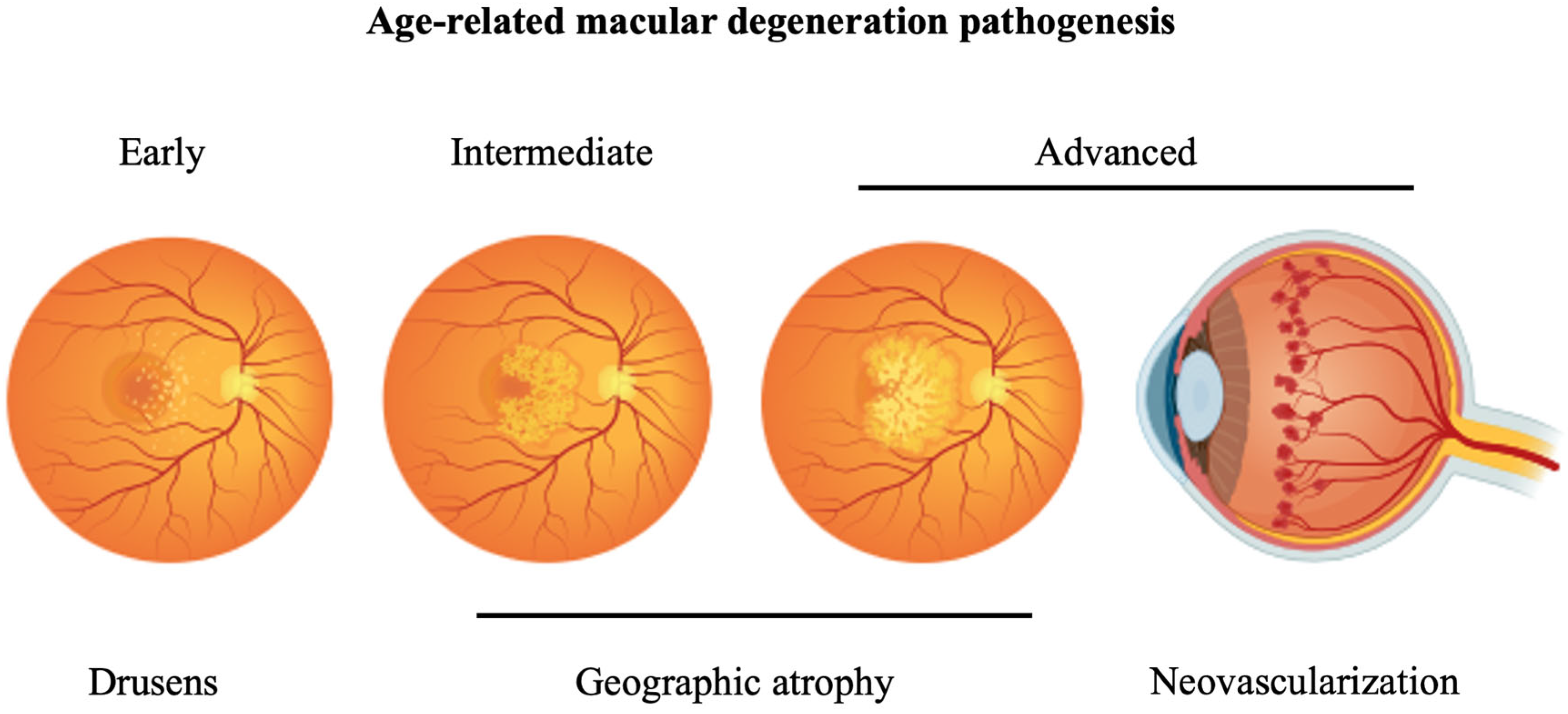 Biomedicines 12 01579 g004
