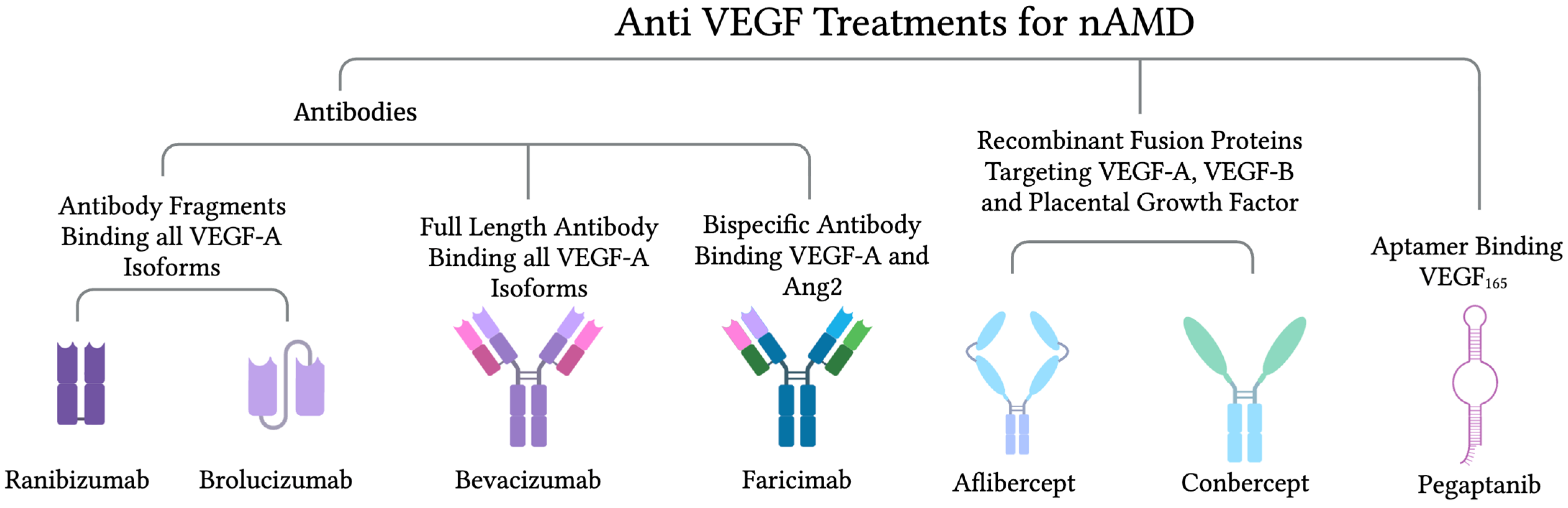 Biomedicines 12 01579 g005