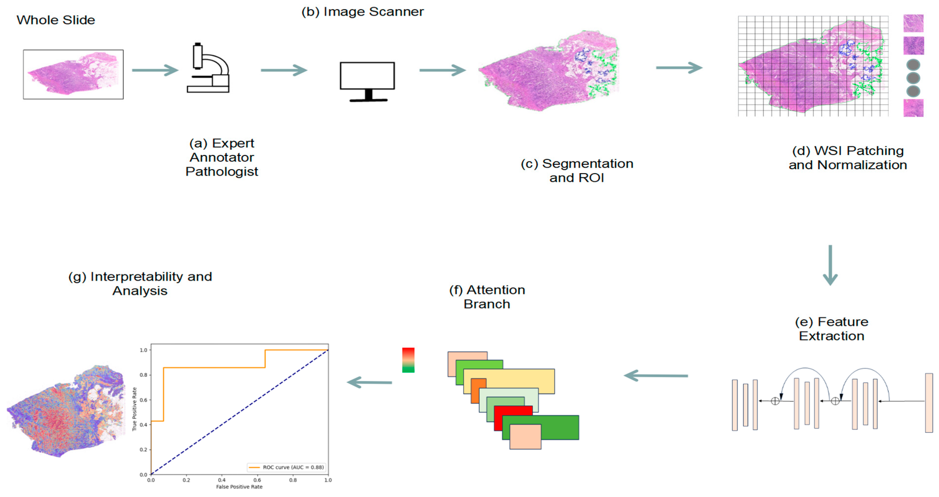 Biomedicines 12 01583 g002