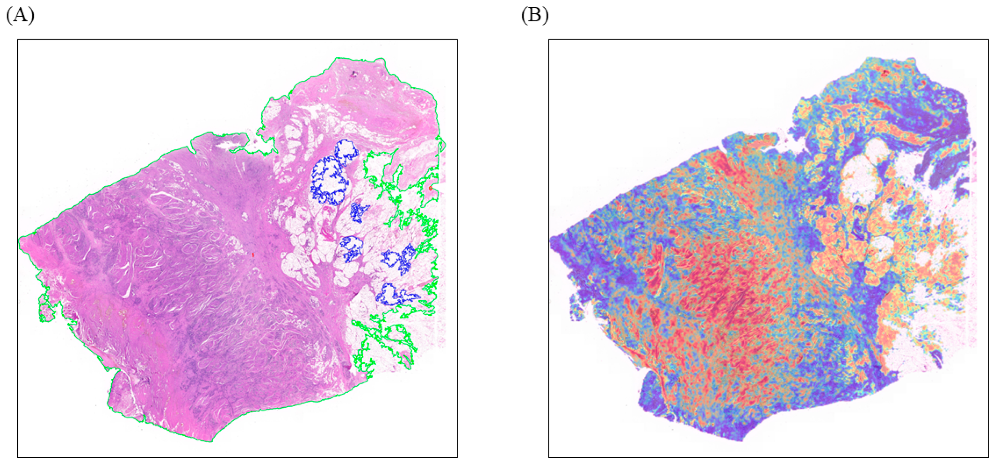 Biomedicines 12 01583 g004