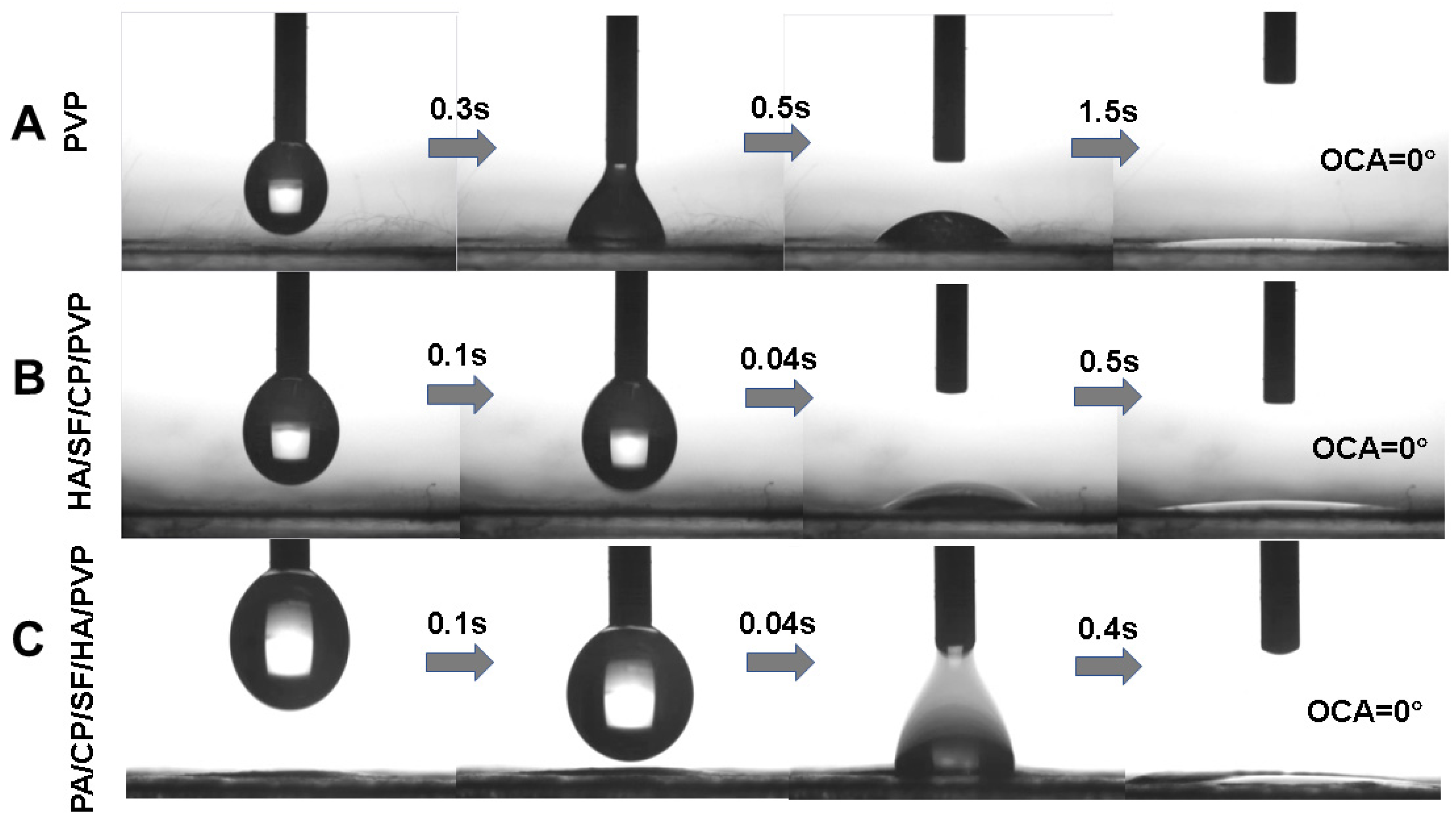 Biomedicines 12 01584 g005