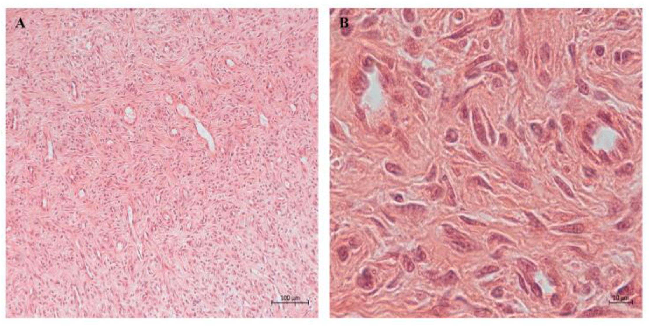 Biomedicines 12 01586 g005 Biomedicines 12 01586 g005