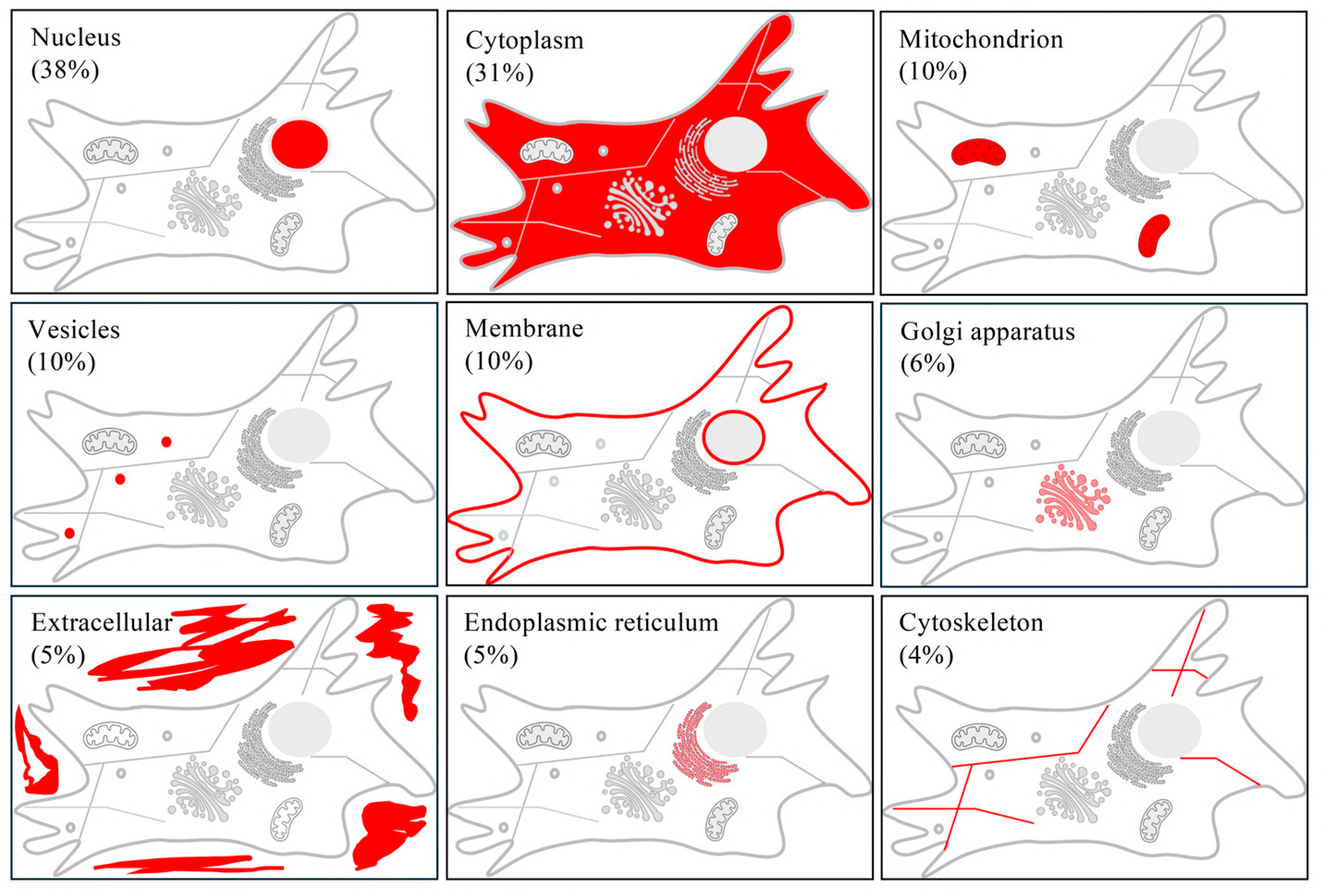 Biomedicines 12 01586 g008 Biomedicines 12 01586 g008