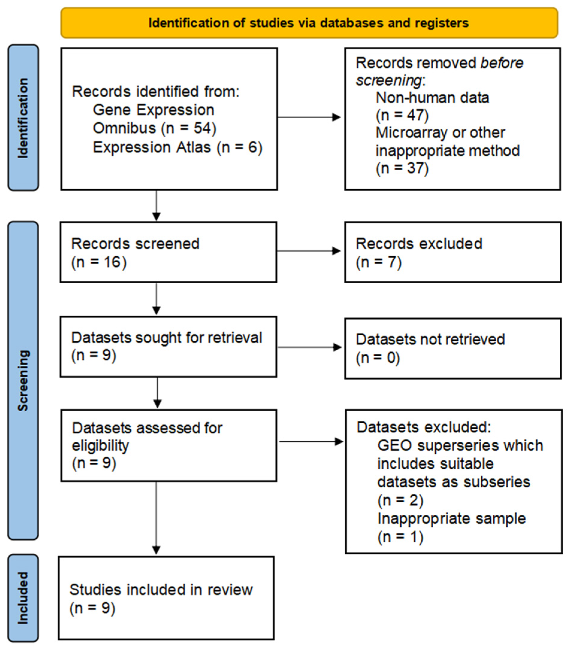 Biomedicines 12 01590 g001
