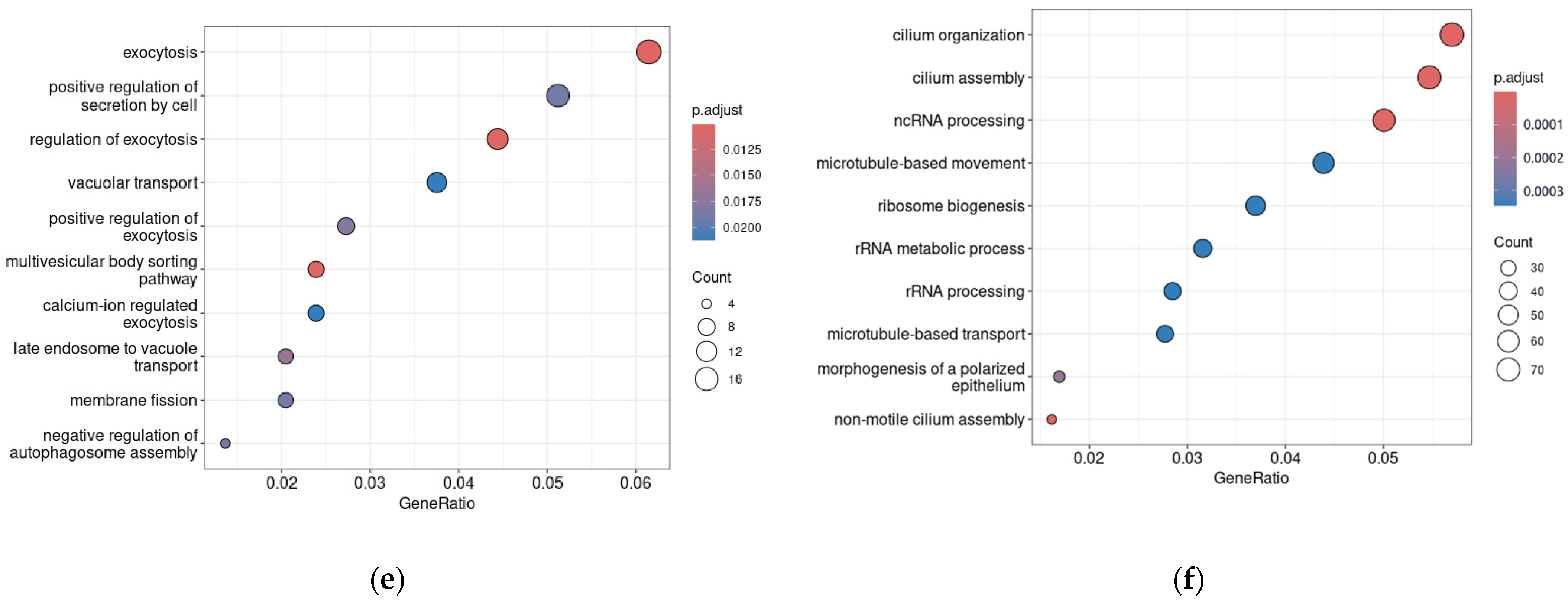 Biomedicines 12 01590 g003b